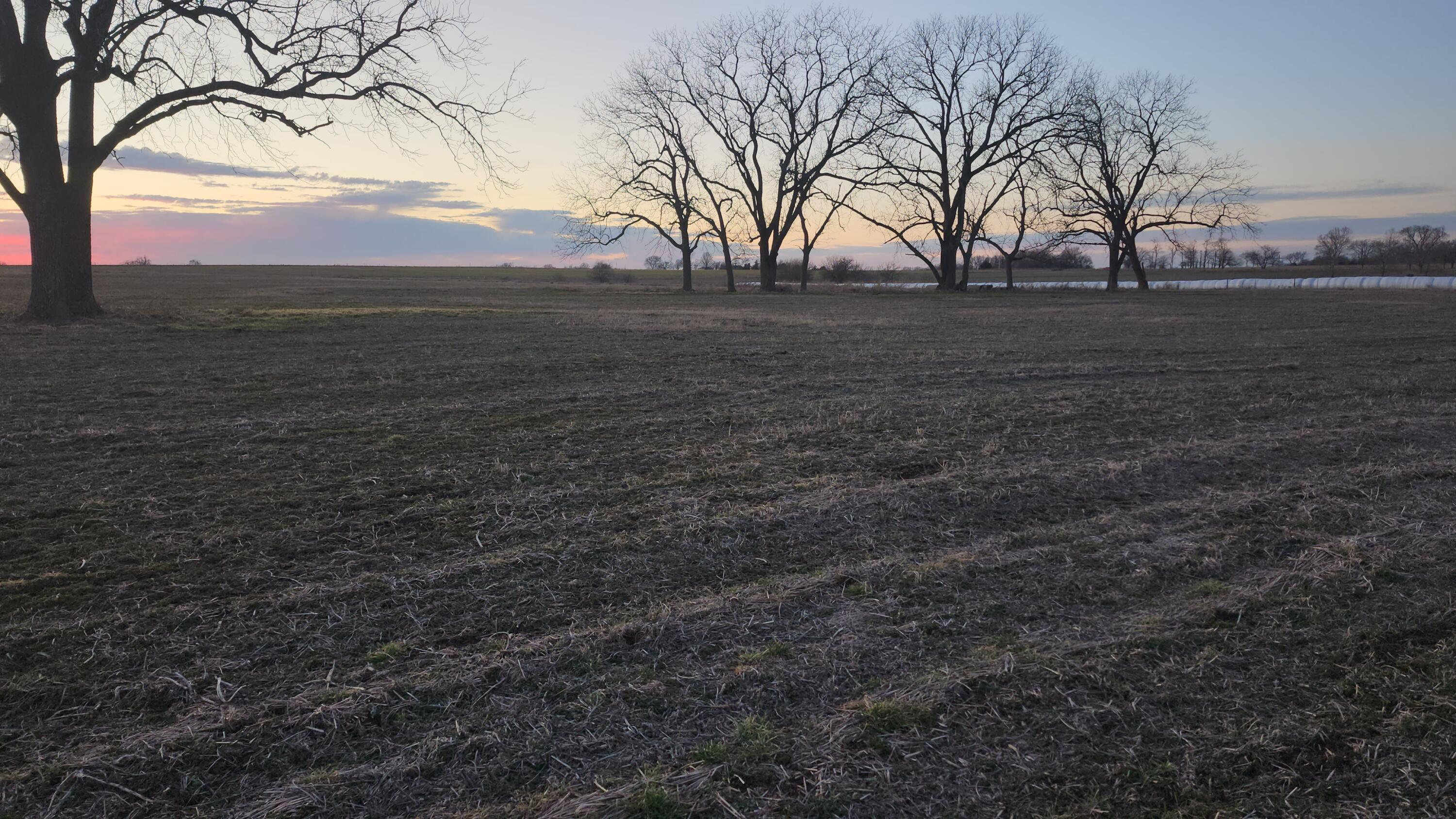 10770 East Hwy Y- C Property Photo 8