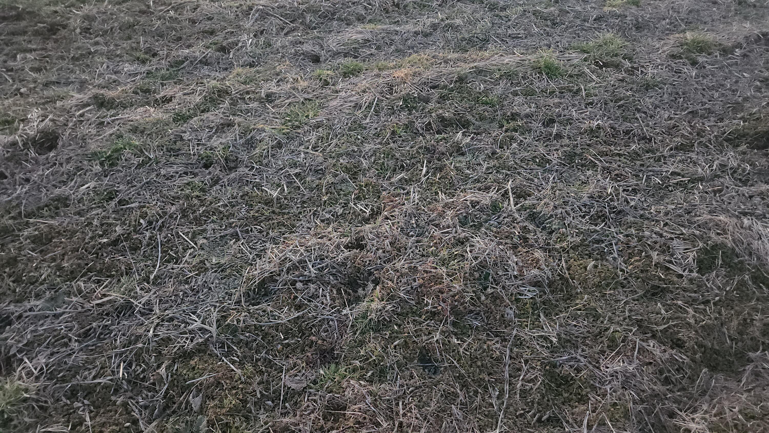 10770 East Hwy Y- C Property Photo 94