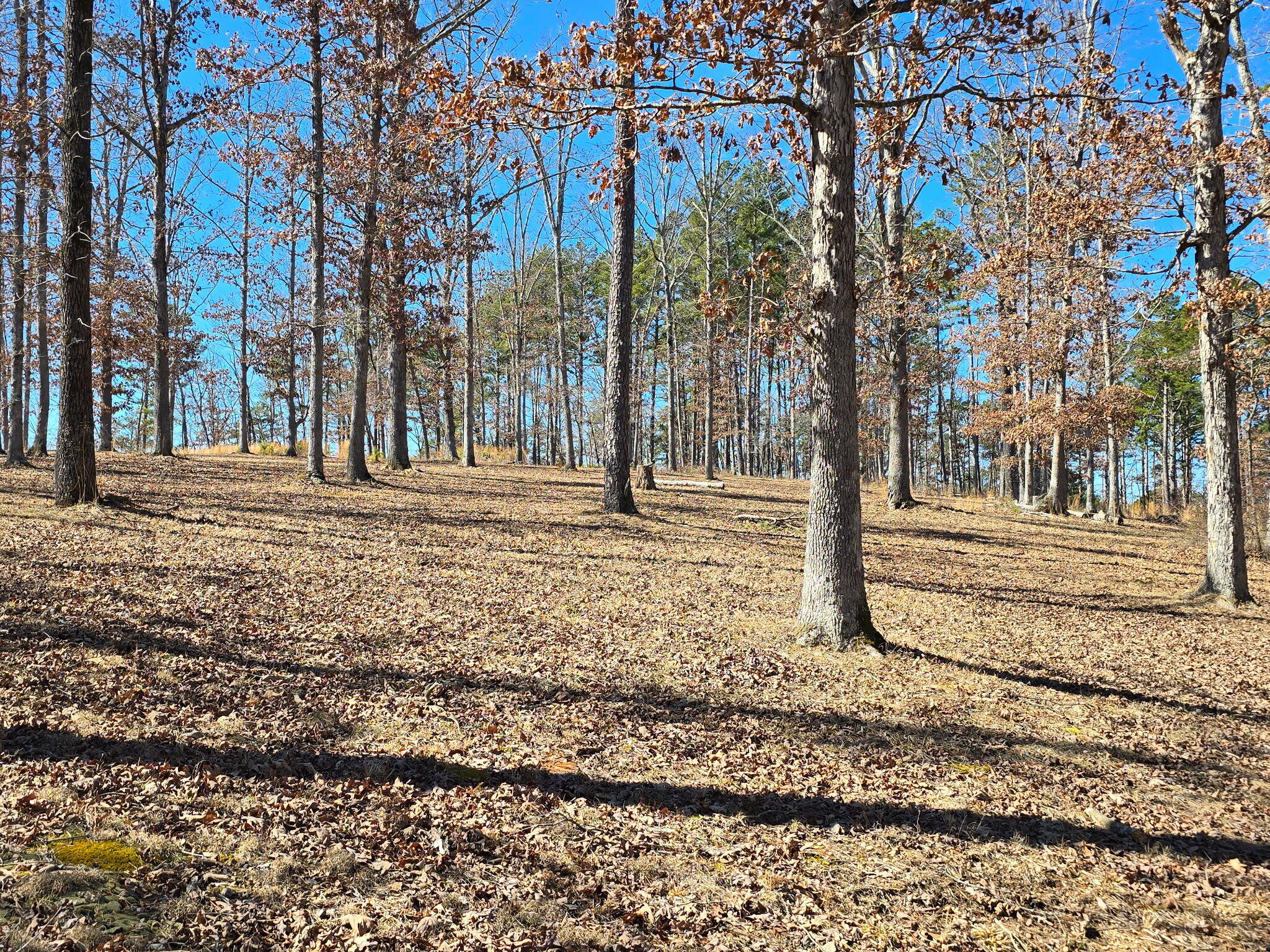 9417 North Highway 63 Property Photo 25