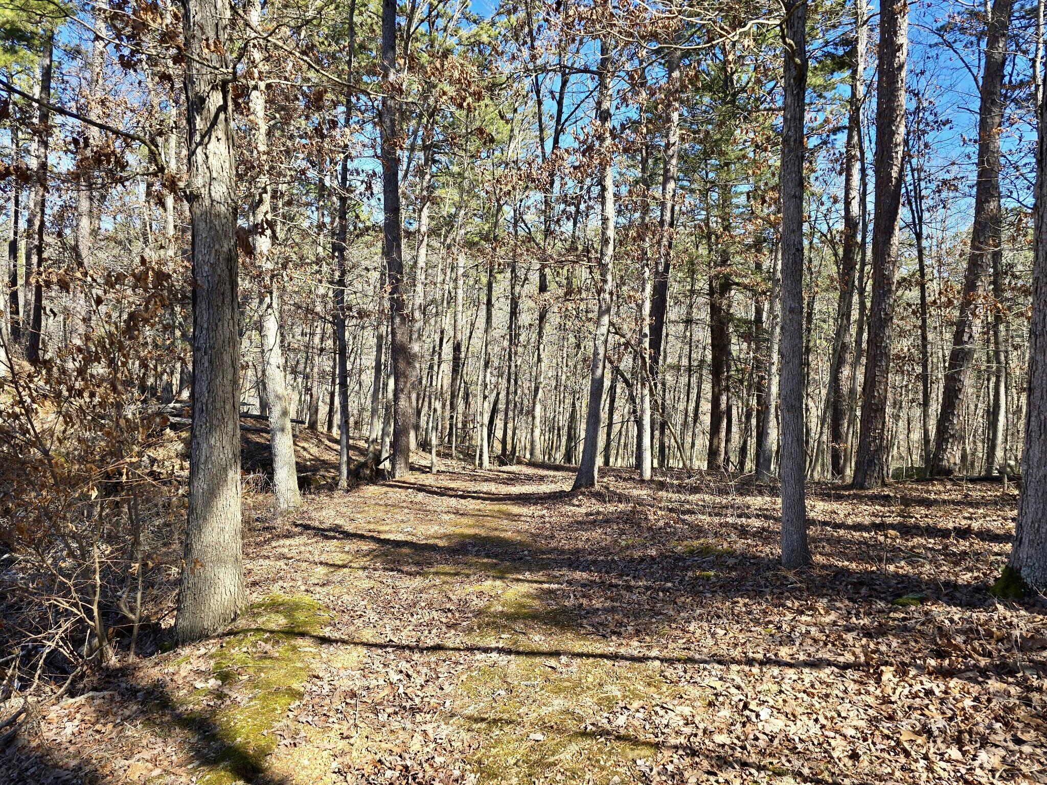 9417 North Highway 63 Property Photo 28
