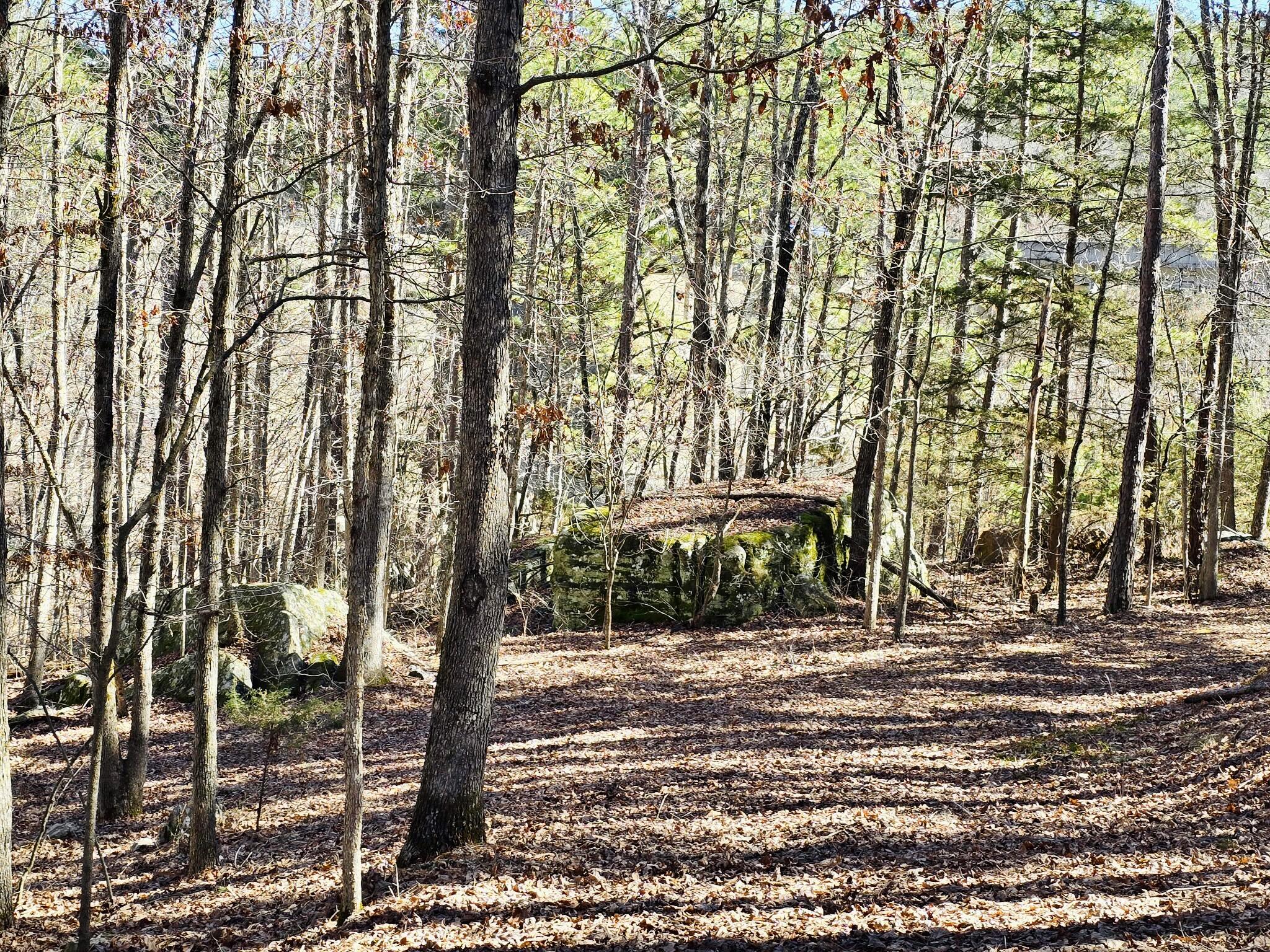 9417 North Highway 63 Property Photo 29
