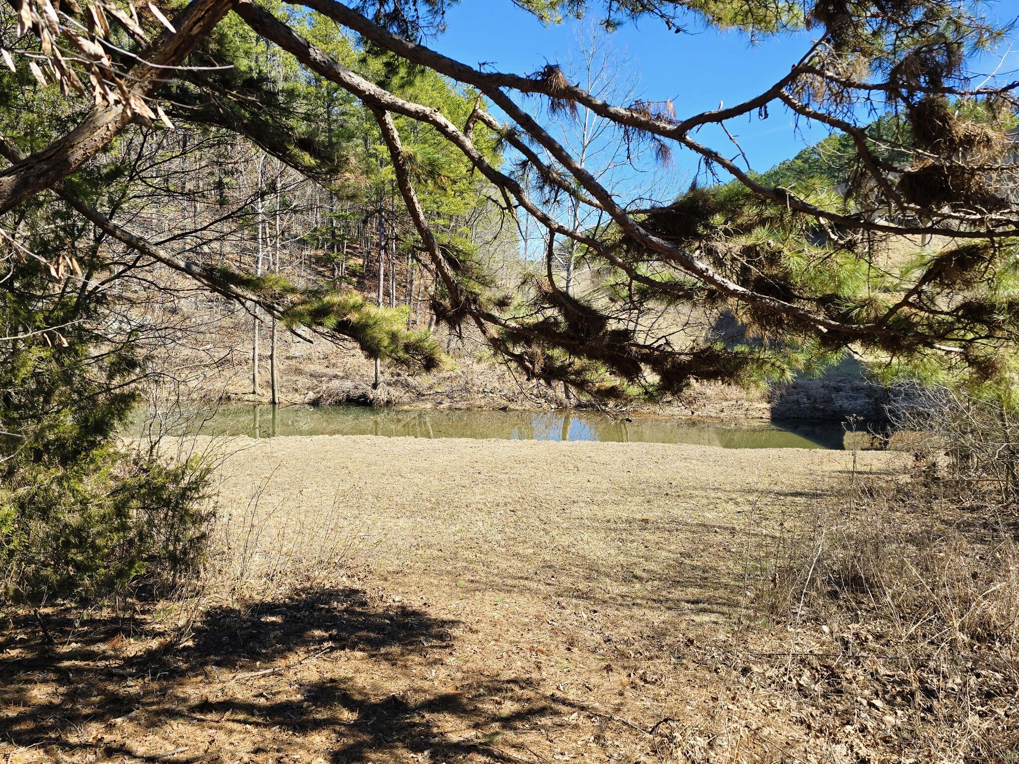 9417 North Highway 63 Property Photo 30