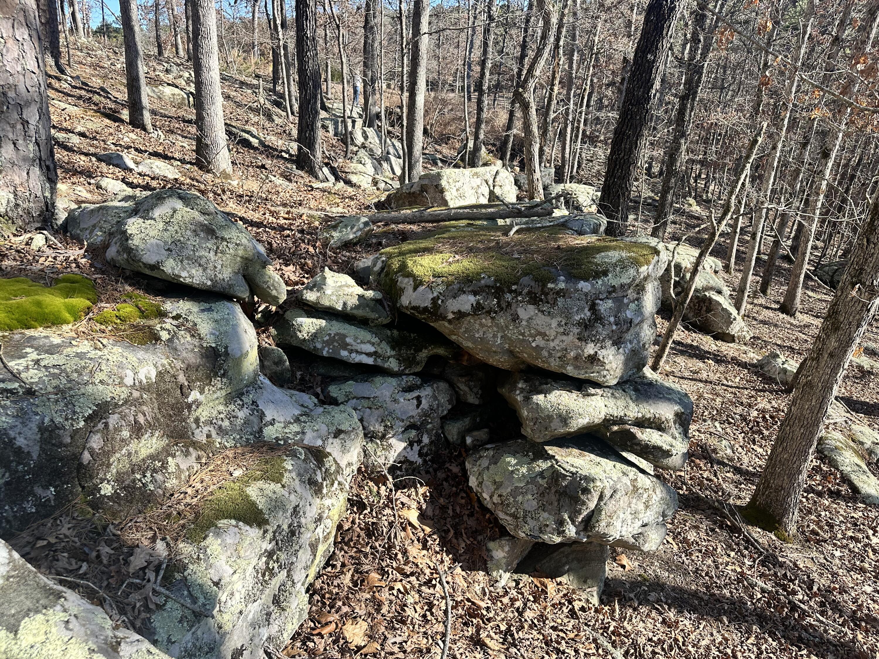 9417 North Highway 63 Property Photo 40