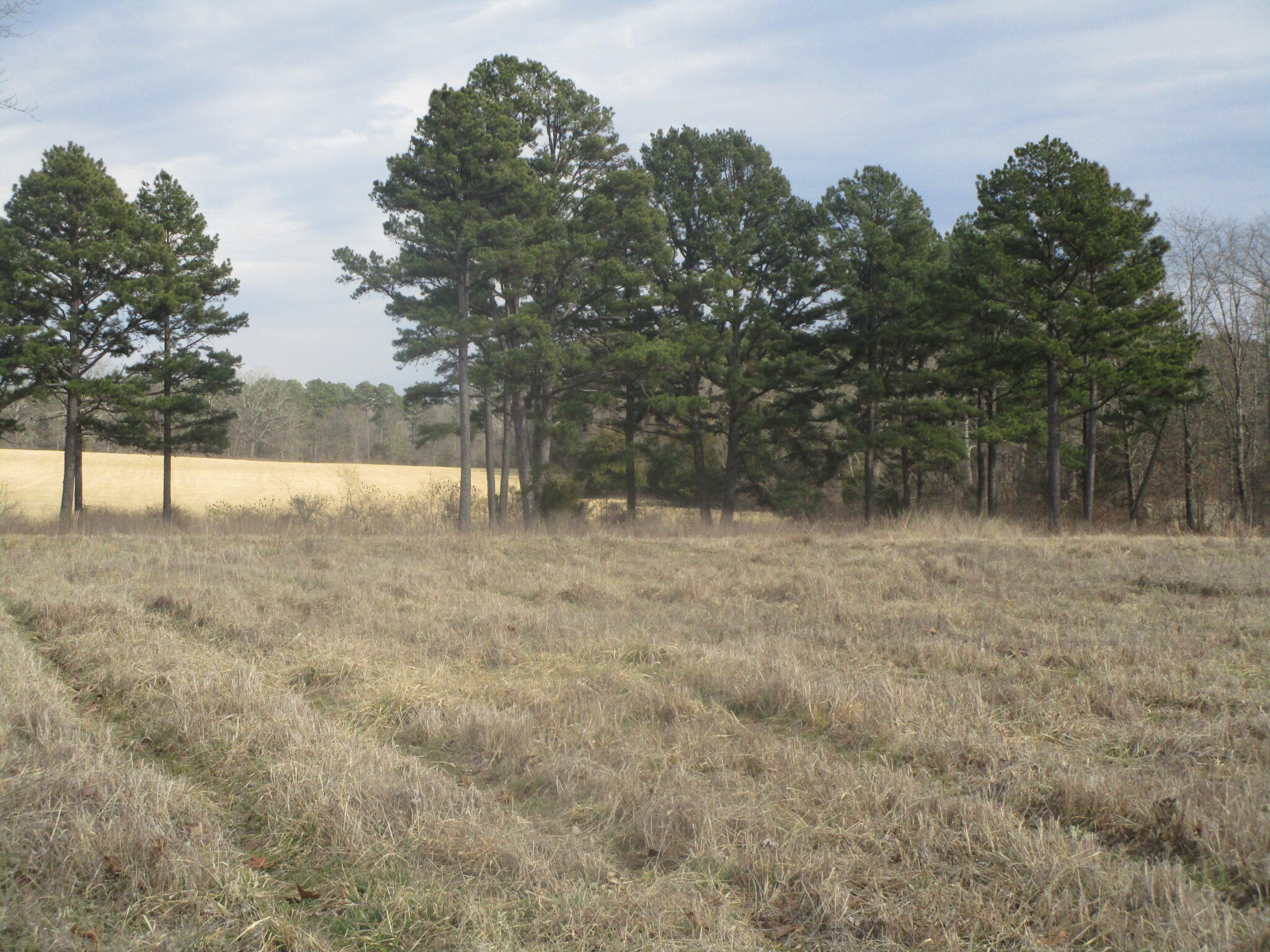 21724 State Route Z Property Photo 6