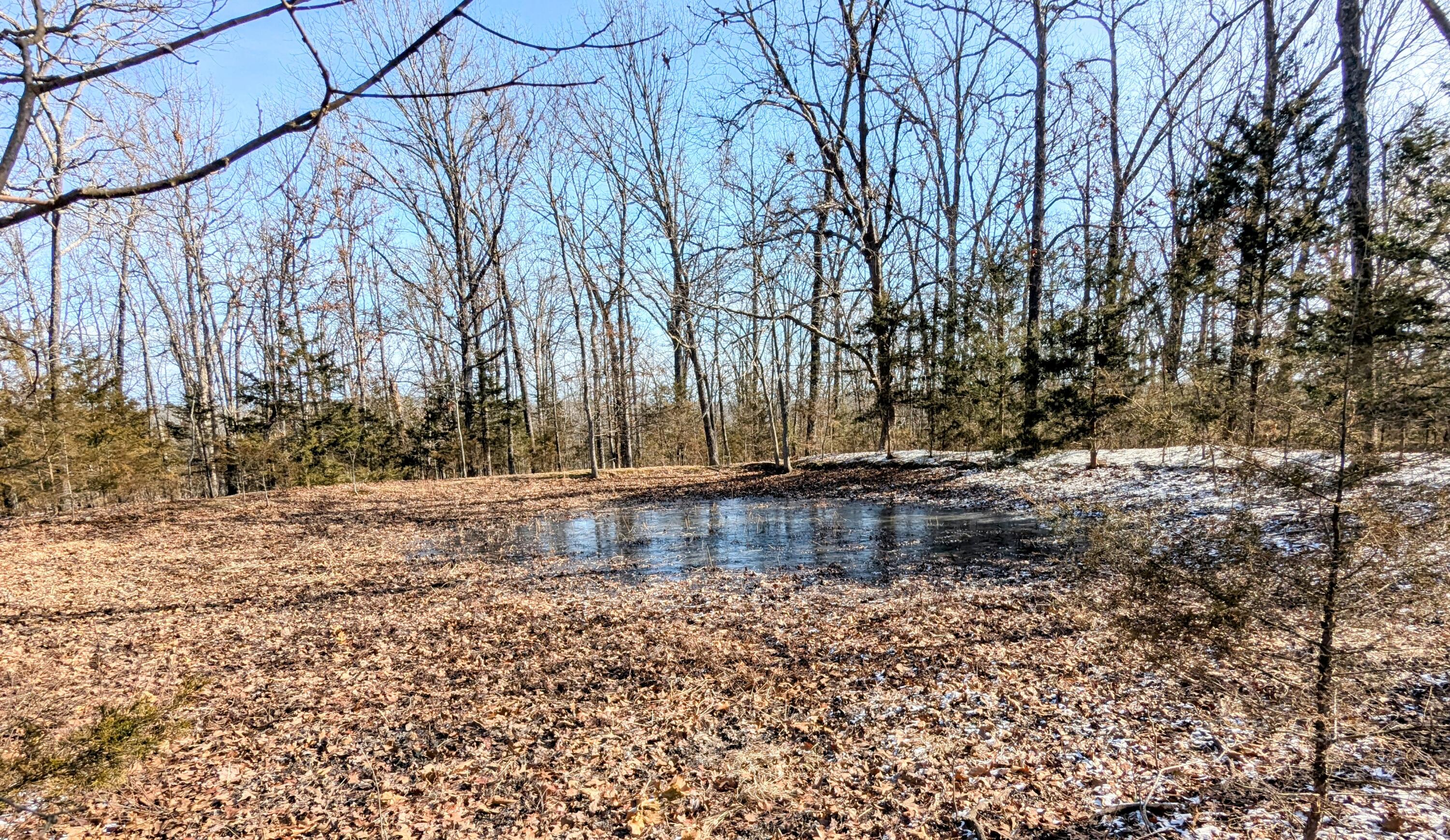 Lot 202 Forest Lake Drive Property Photo