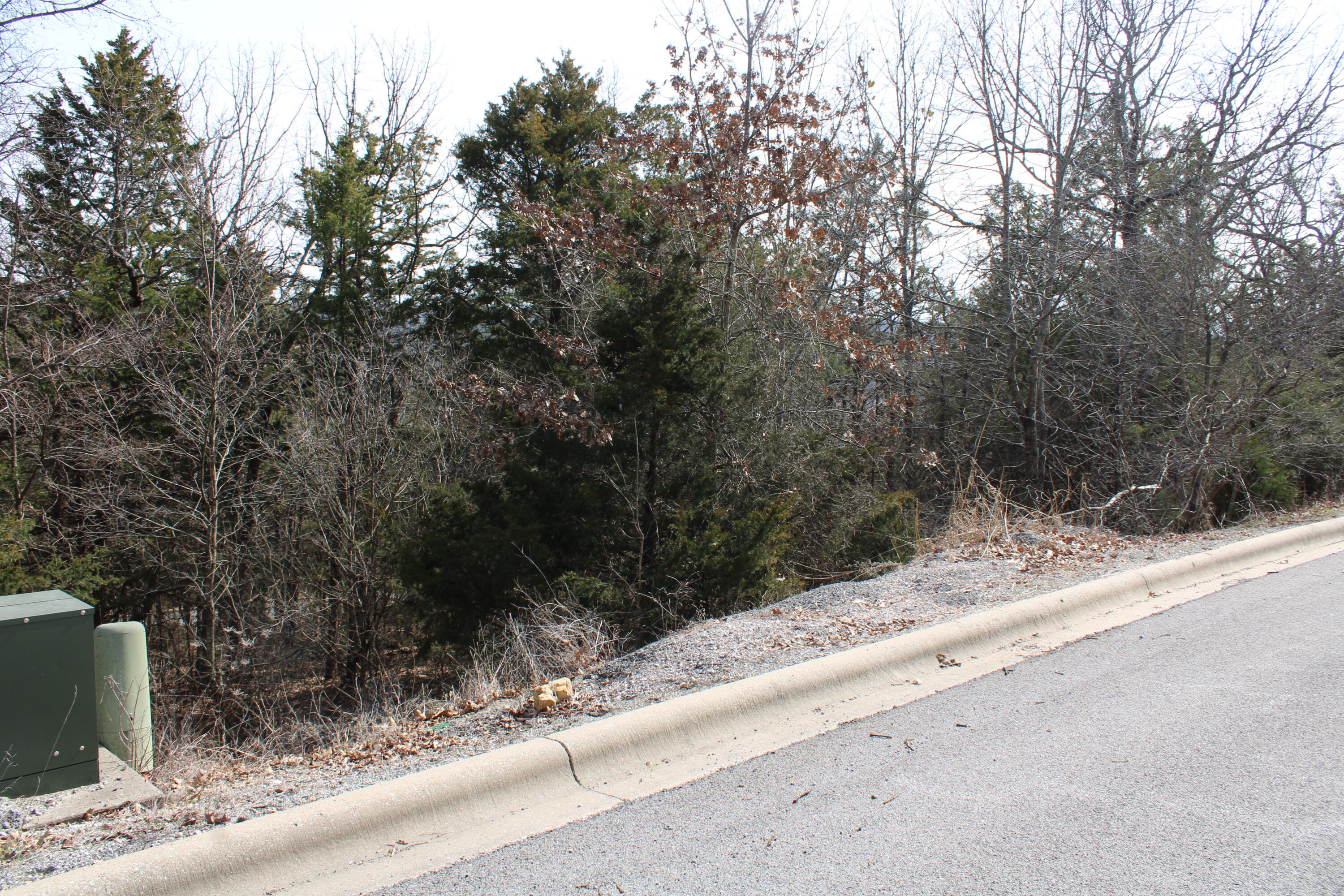000 Ph Viii-lt 317- Sharay/samara Property Photo 5