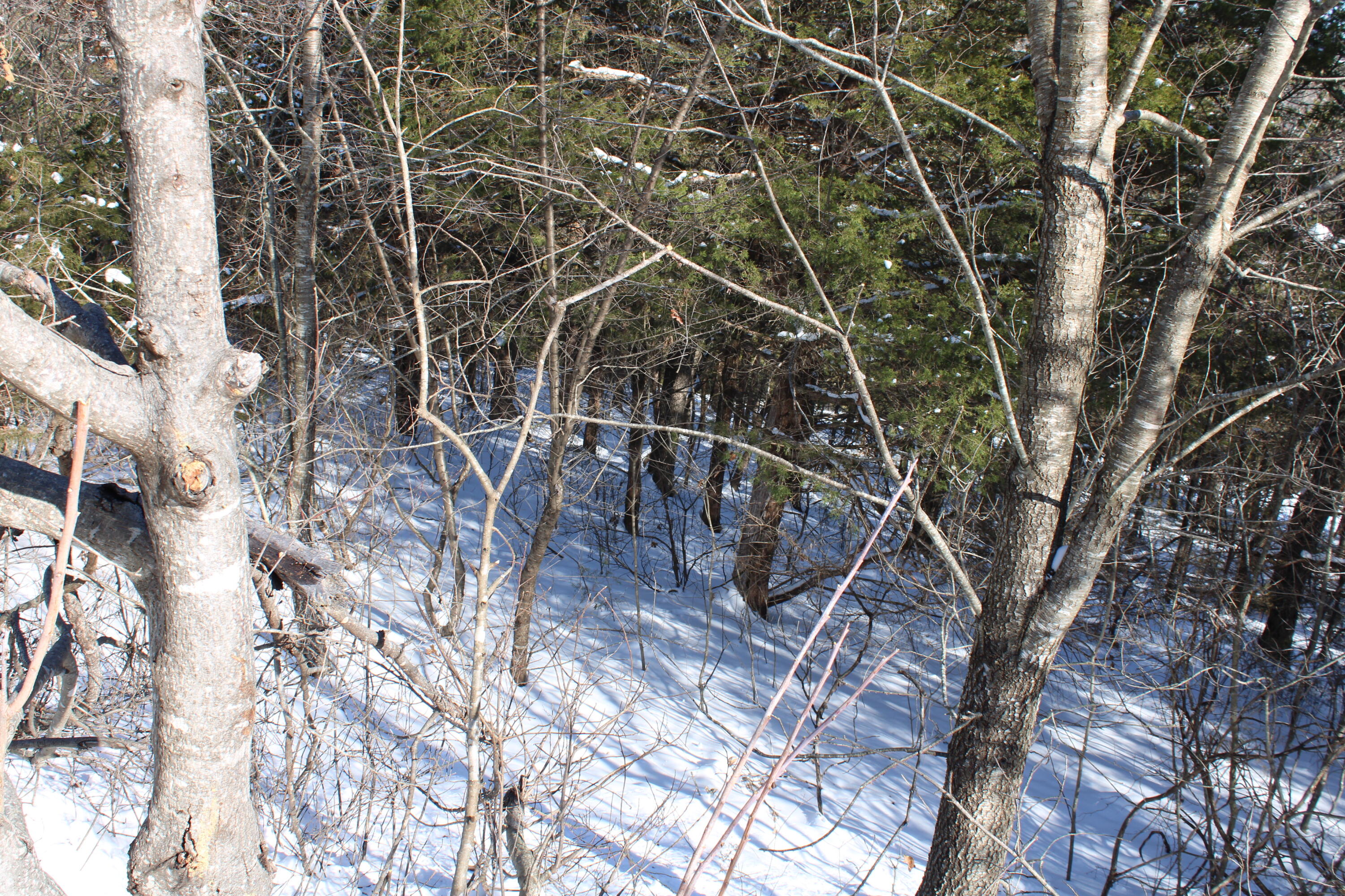 000 Ph Viii-lt 317- Sharay/samara Property Photo 9