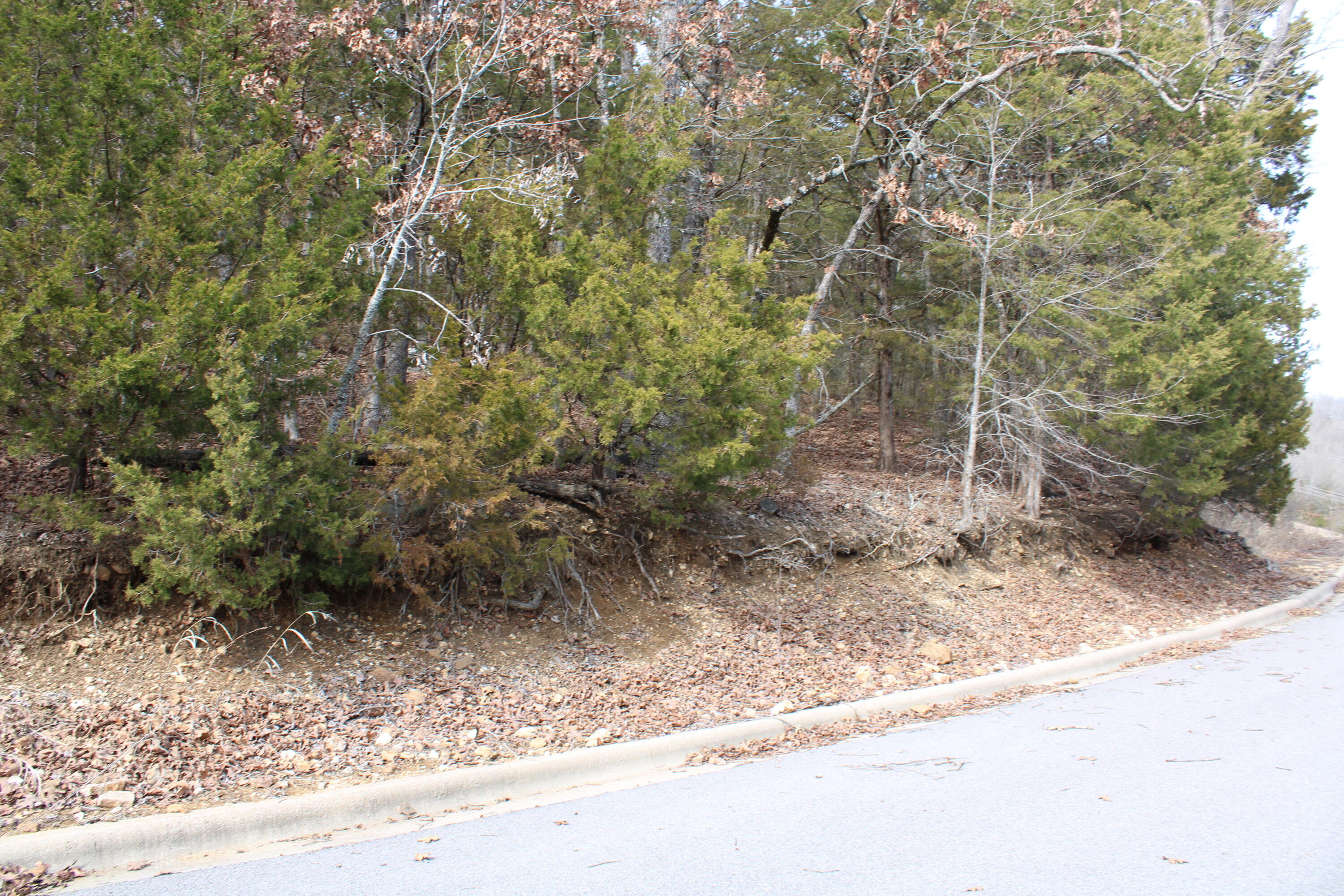 000 Ph Viii-lt 317- Sharay/samara Property Photo 12