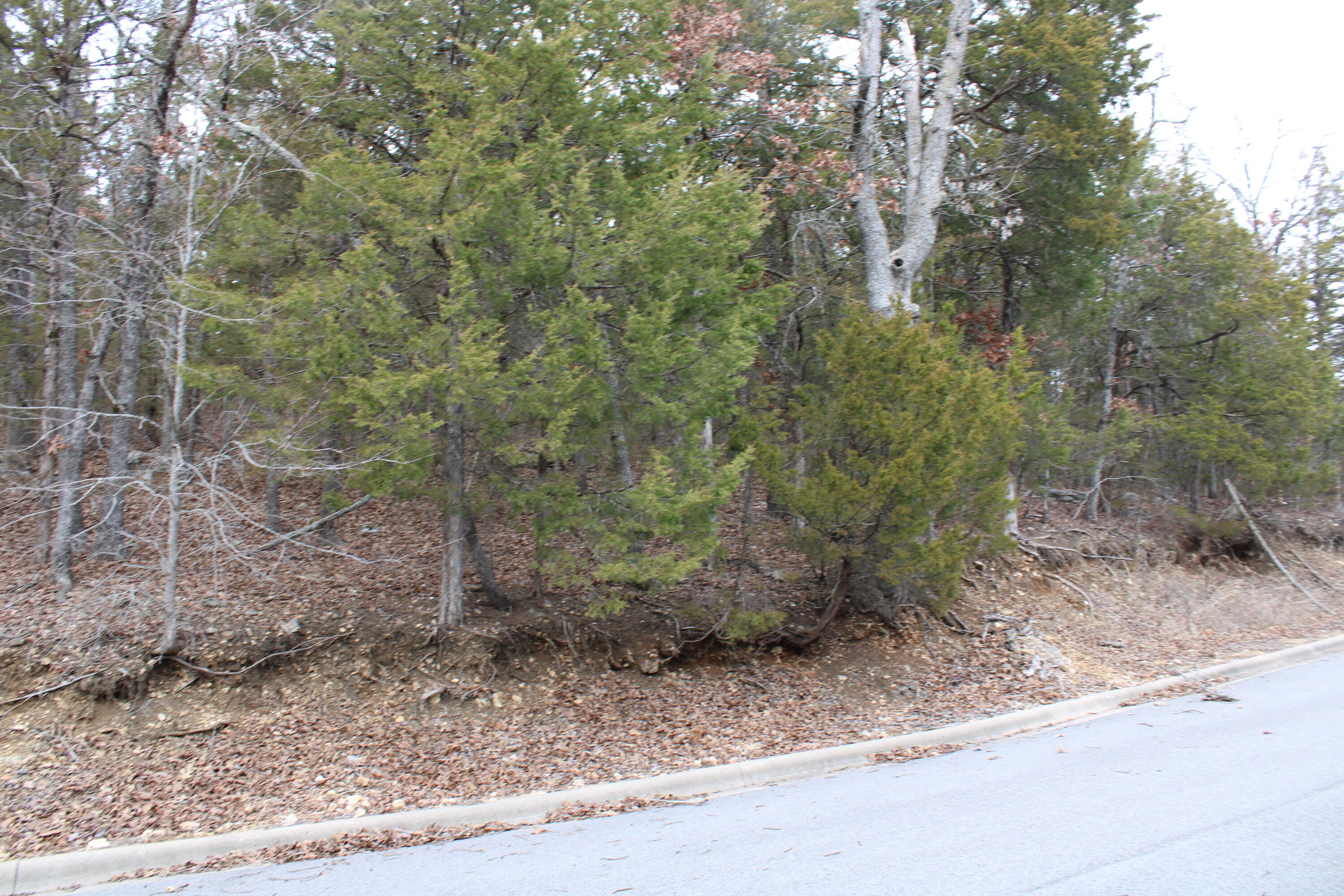000 Ph Viii-lt 317- Sharay/samara Property Photo 14