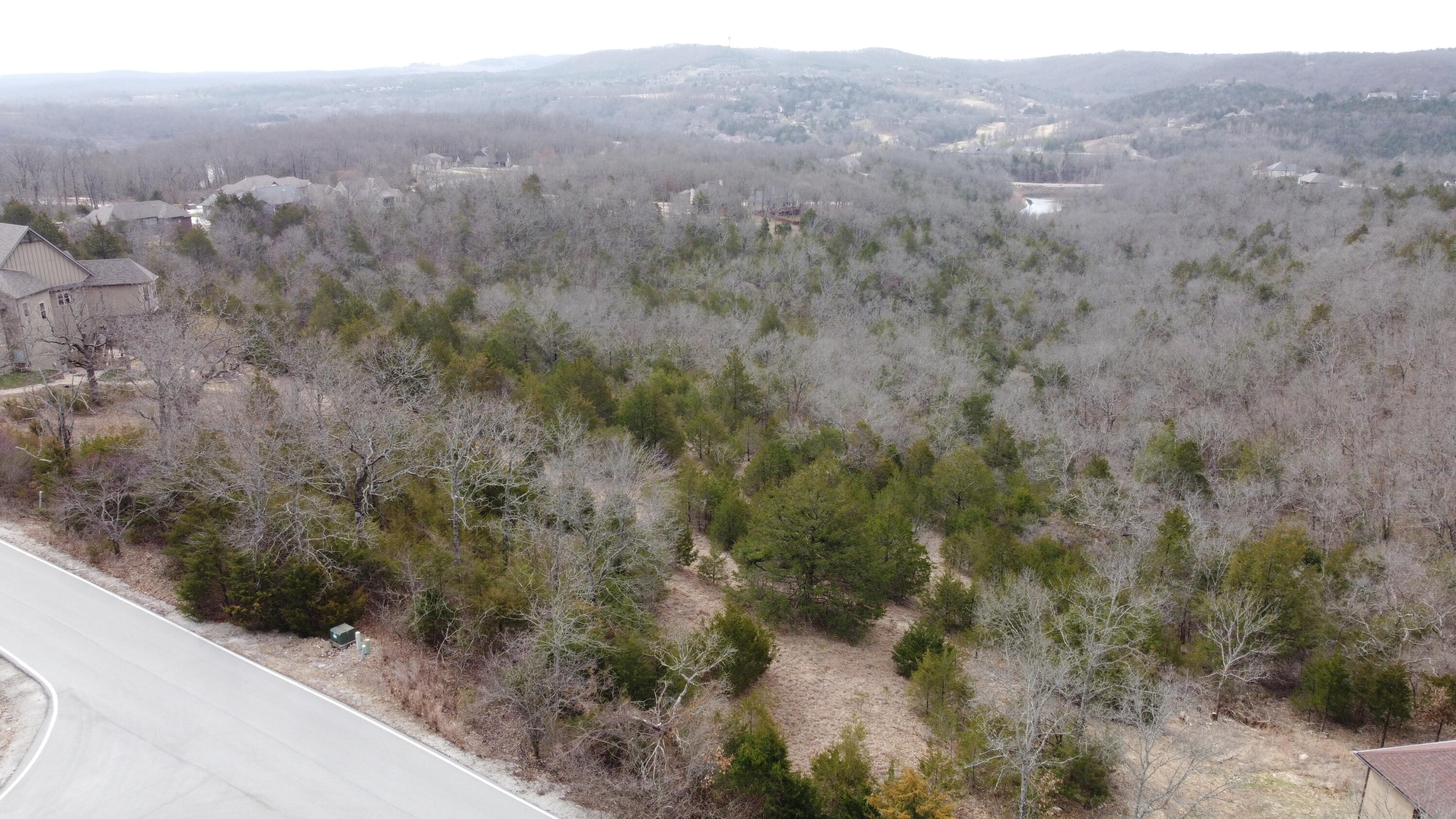 108 Black Forest Lane Property Photo 6