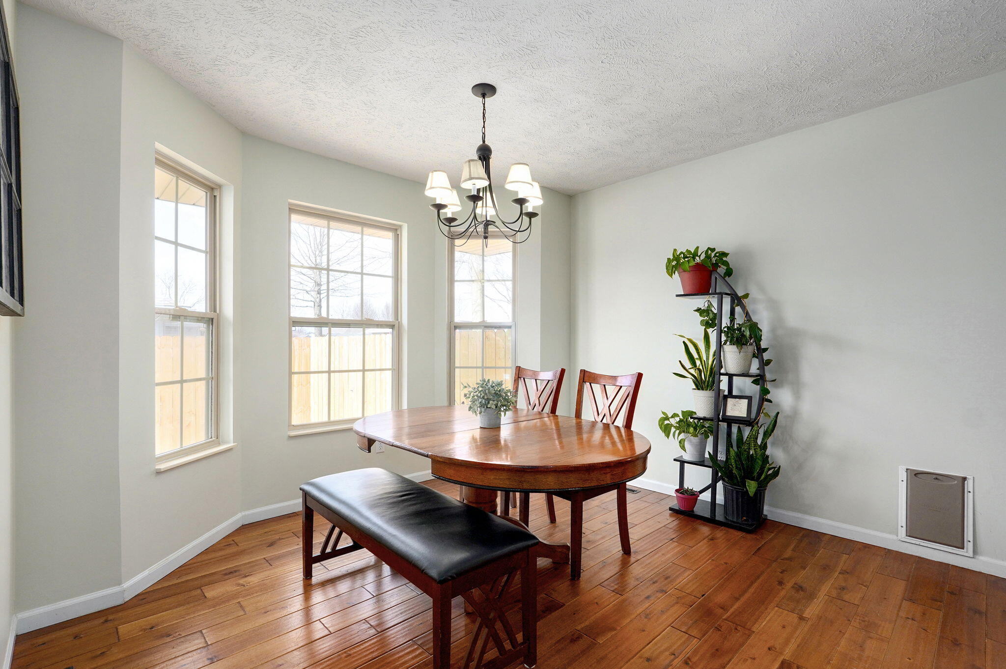509 Pine Street Property Photo 7