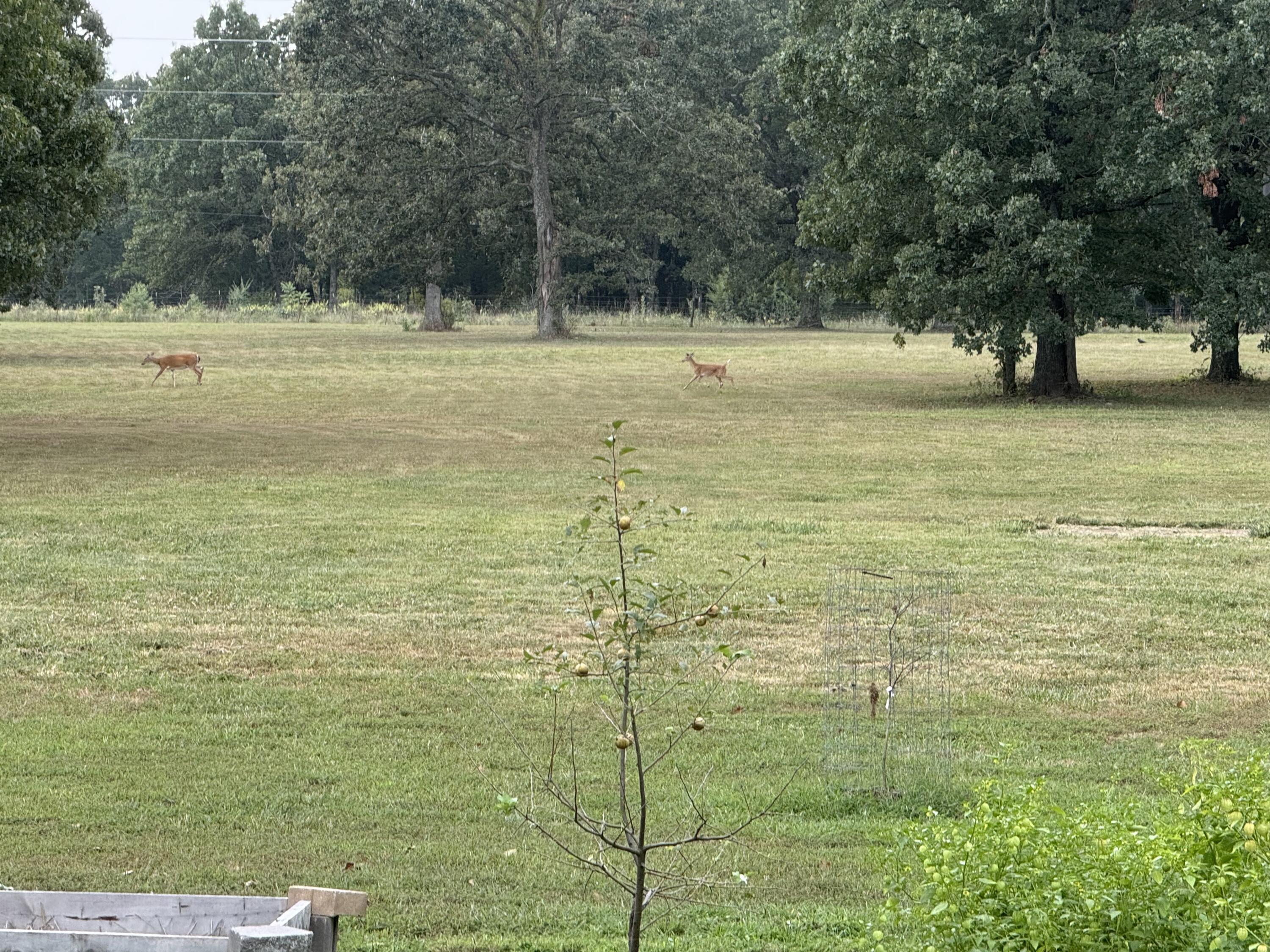 321 West Dade 122 Property Photo 67