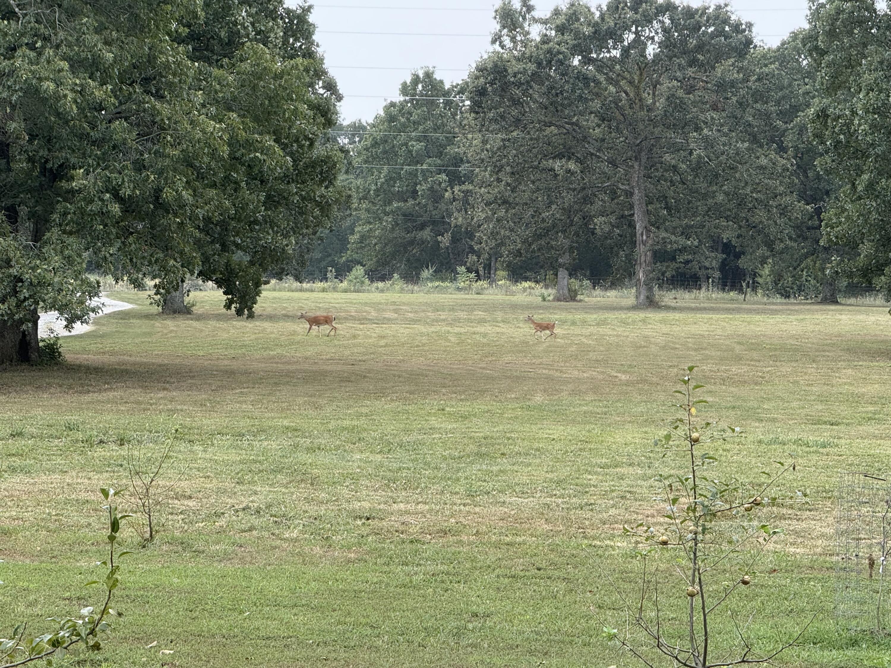 321 West Dade 122 Property Photo 68