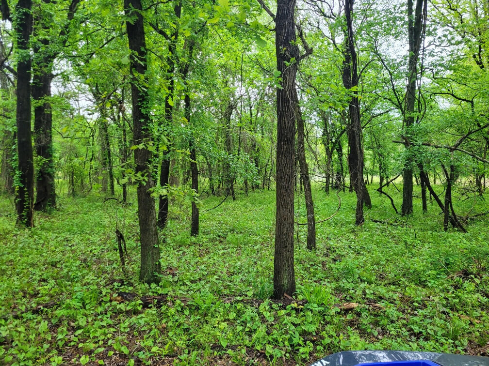 5357 West Belle Terrace Lane Property Photo 31