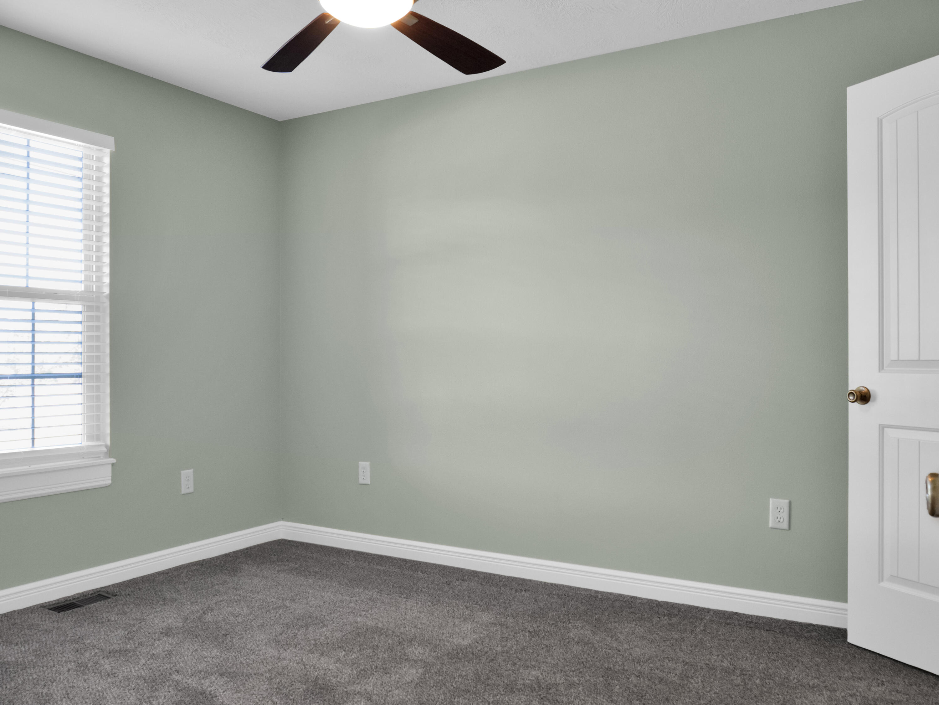 1116 East Division Street Property Photo 28