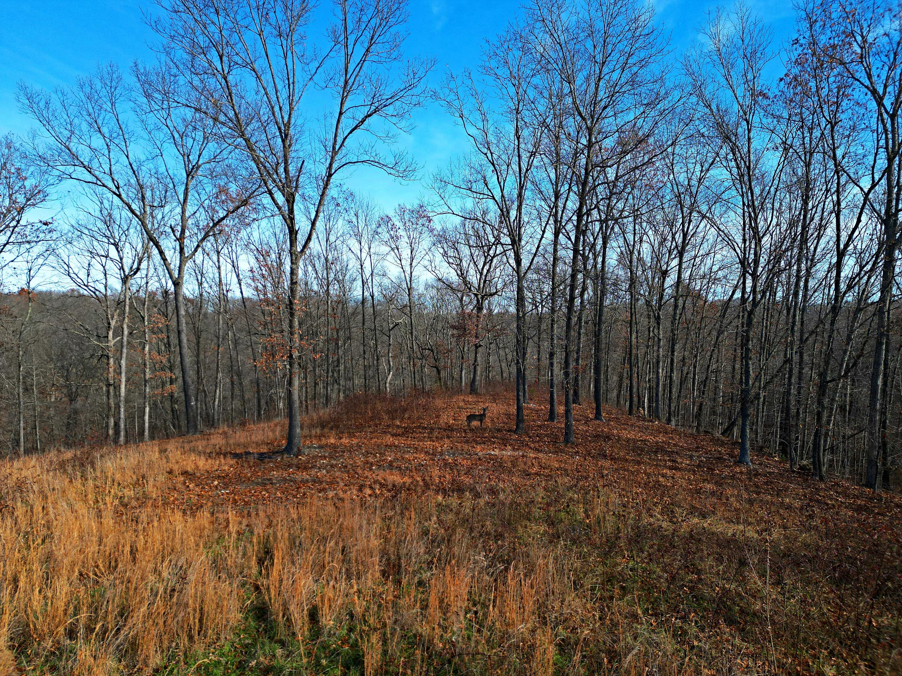 000 Buckbrush-b Road Property Photo 15