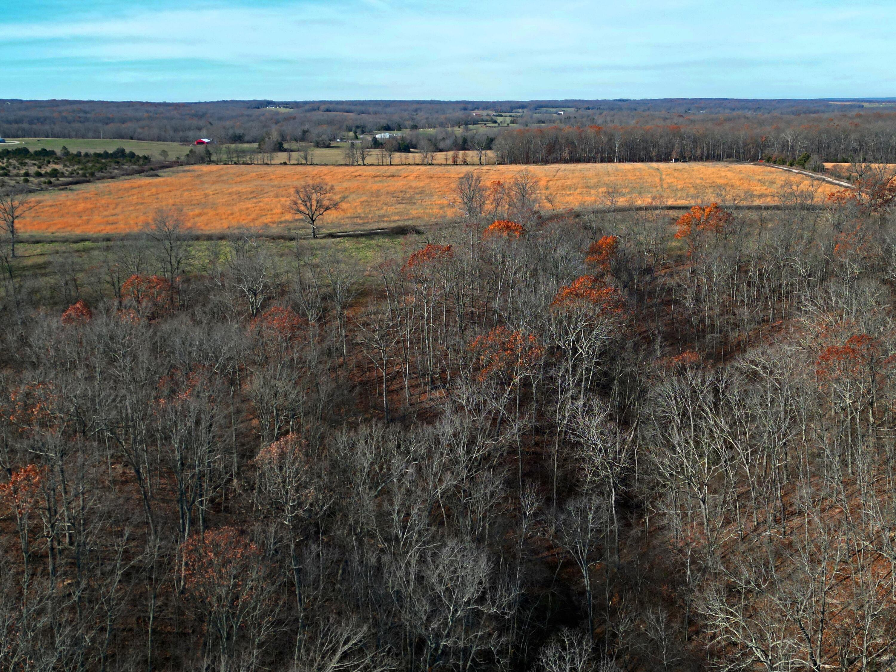 000 Buckbrush-b Road Property Photo 16