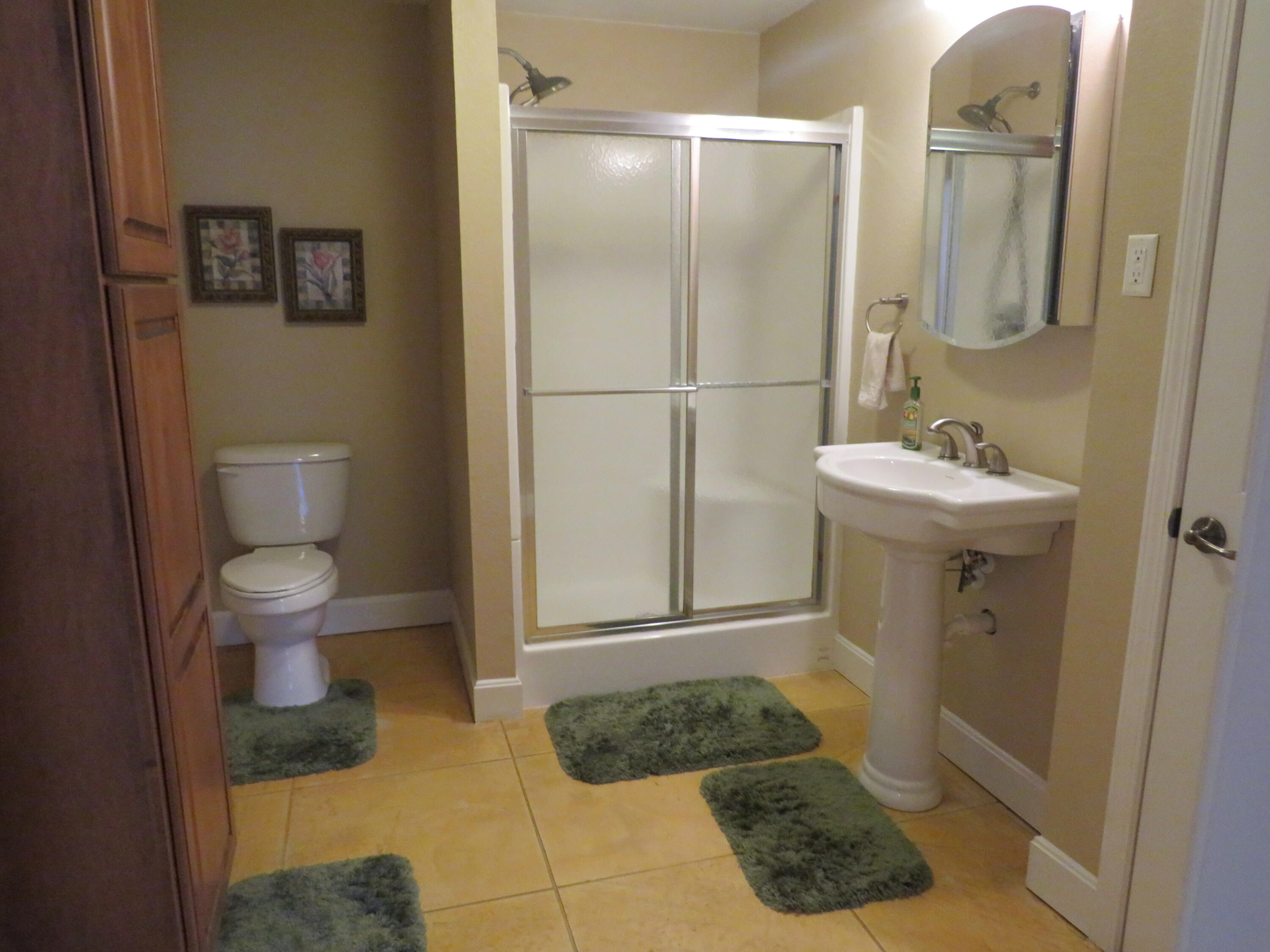 501 Remington Drive Drive Property Photo 55