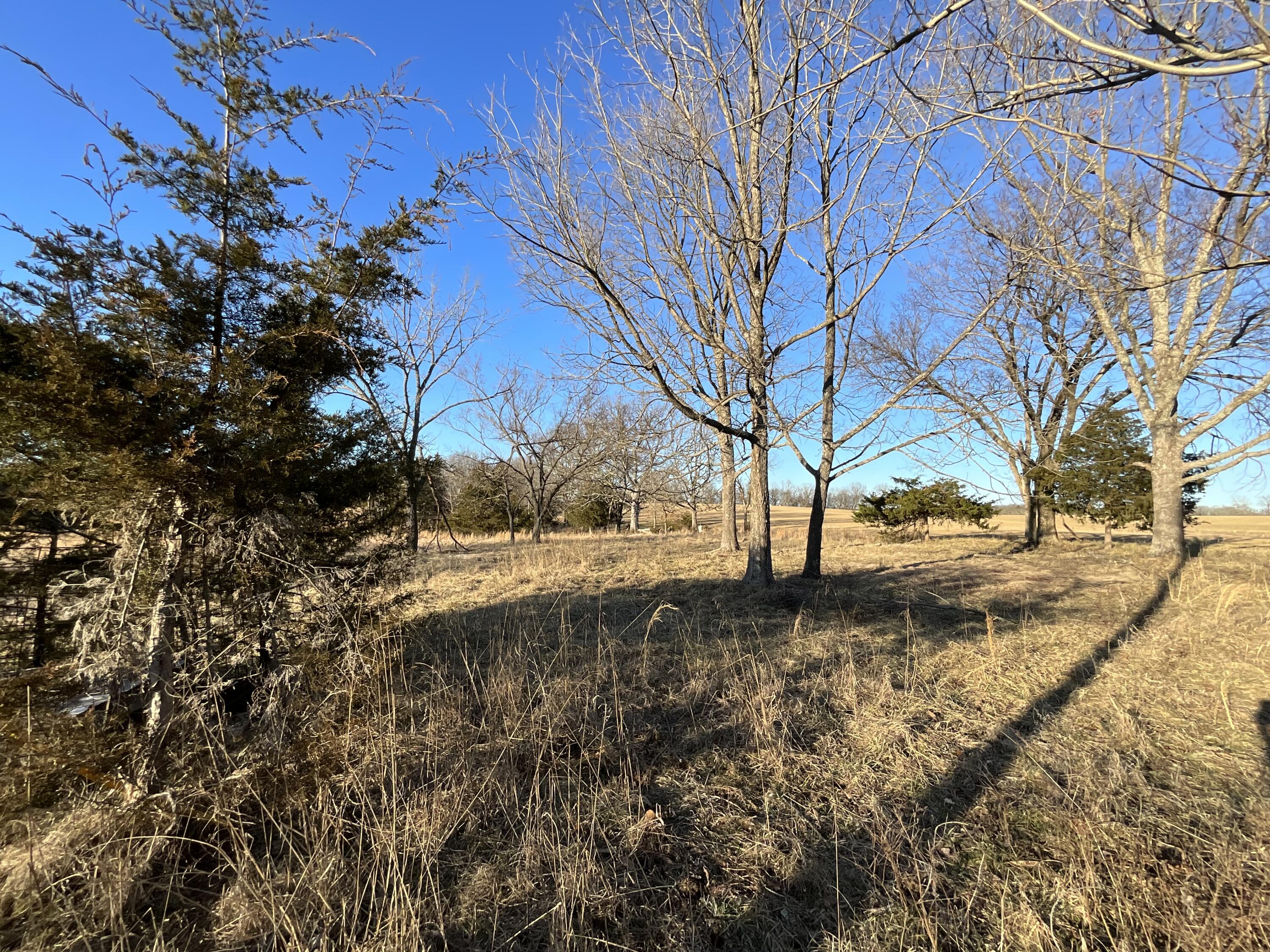 000 County Road 413 Property Photo