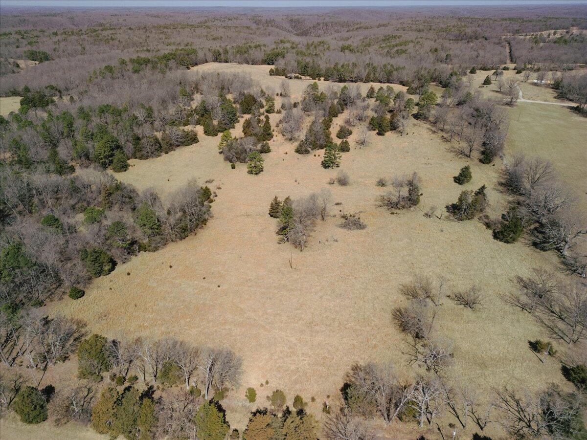 000 County Road 413 Property Photo 2