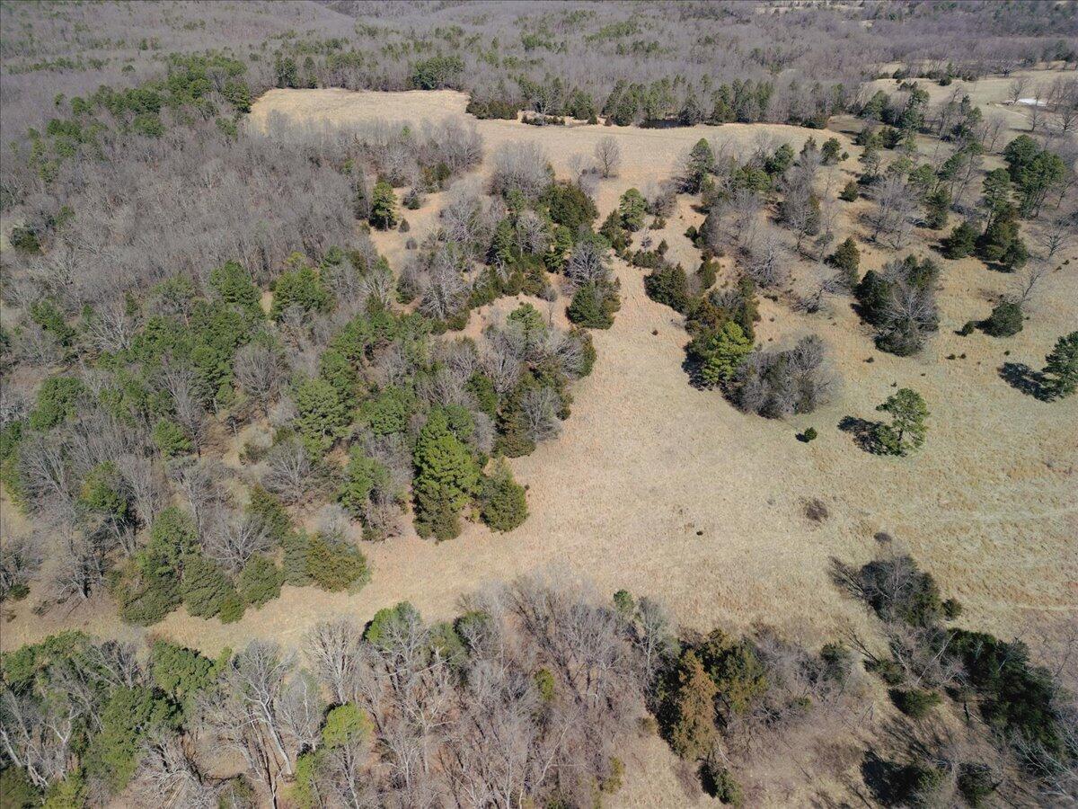 000 County Road 413 Property Photo 3