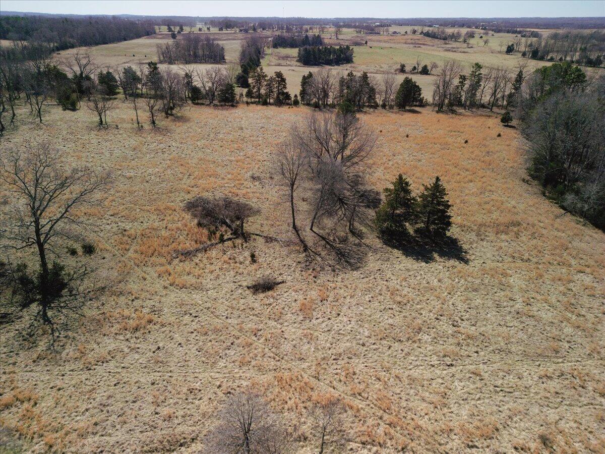 000 County Road 413 Property Photo 4