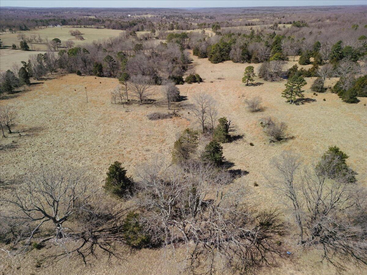 000 County Road 413 Property Photo 5