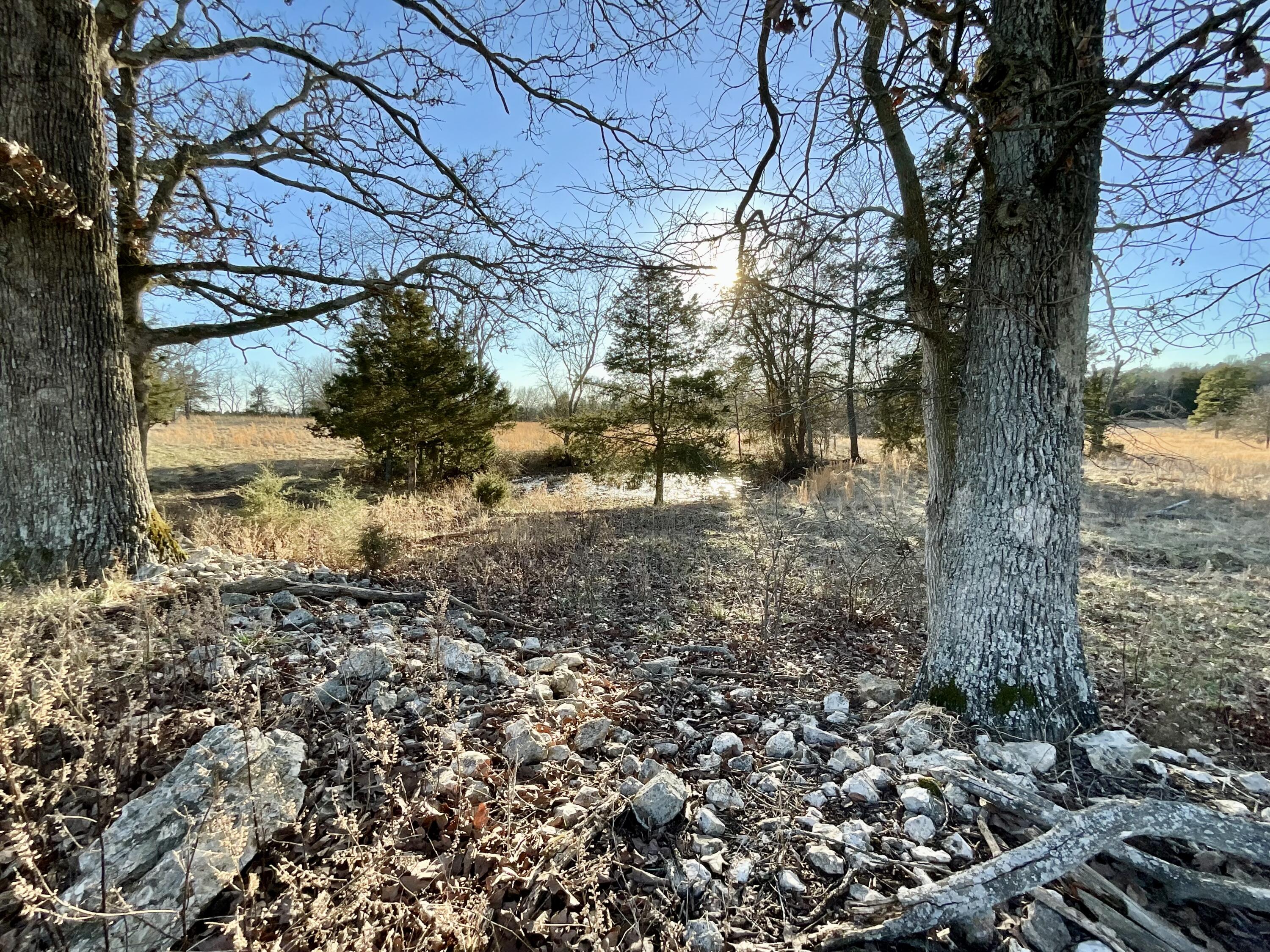 000 County Road 413 Property Photo 6