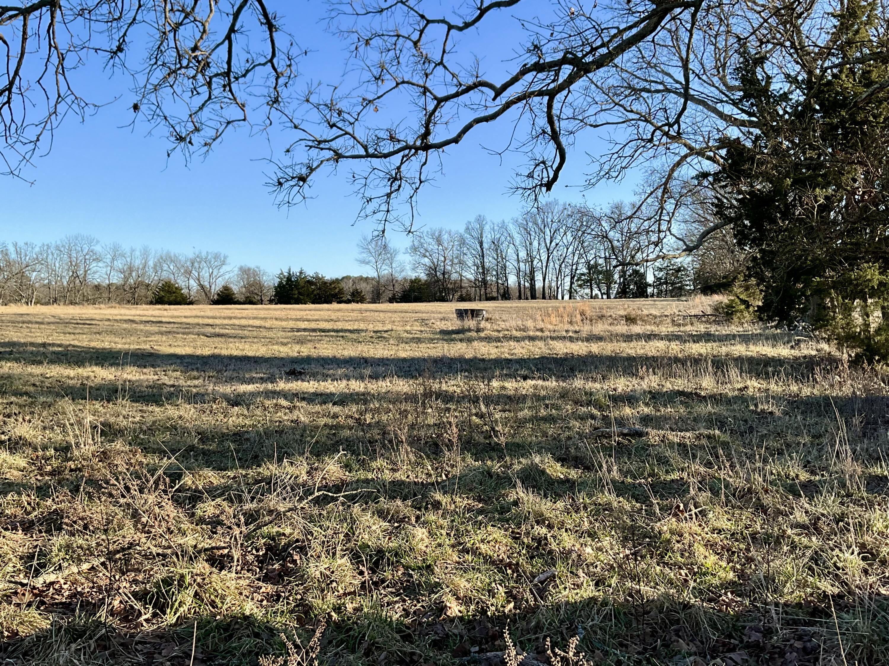 000 County Road 413 Property Photo 8