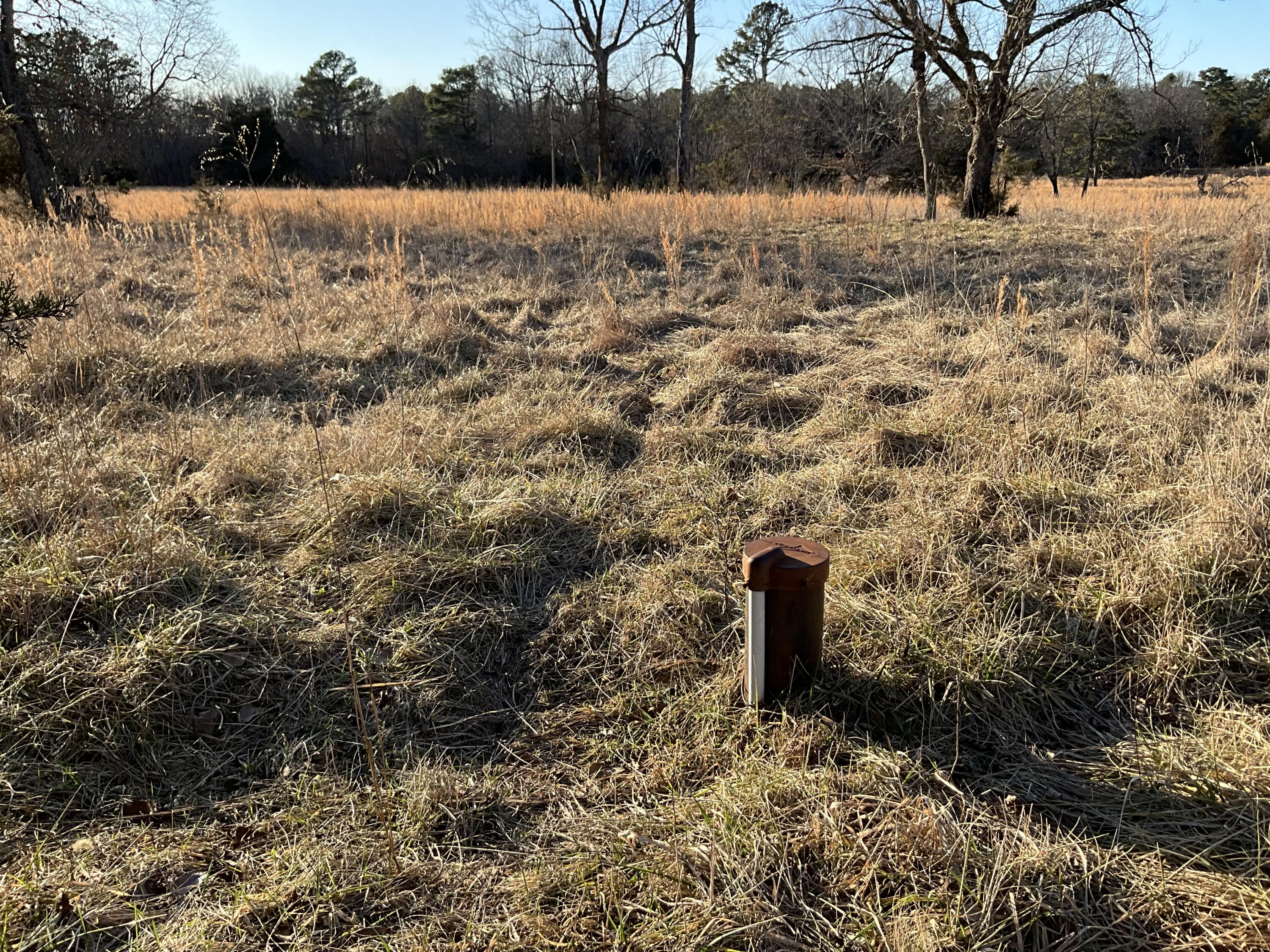 000 County Road 413 Property Photo 13