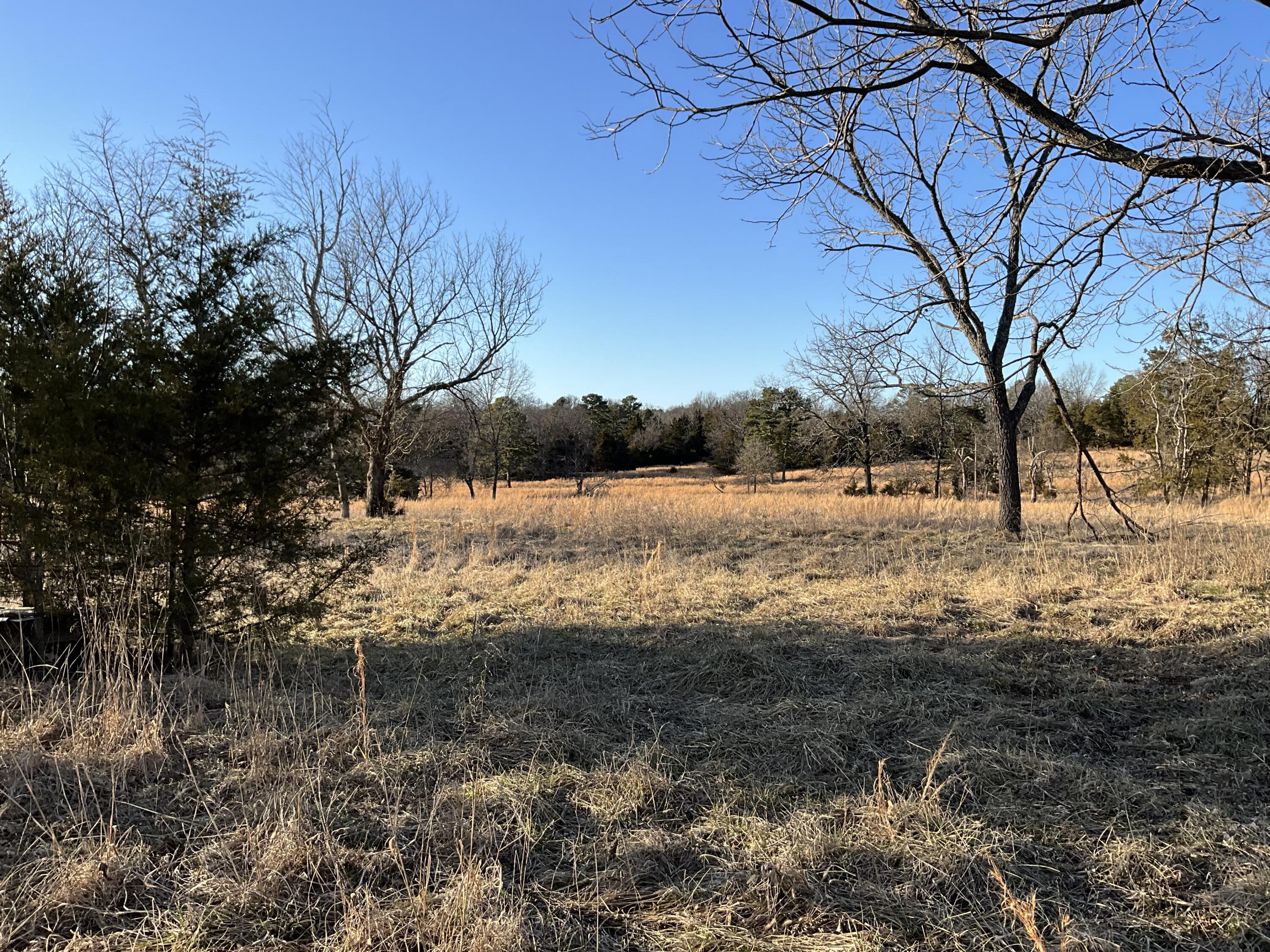 000 County Road 413 Property Photo 16