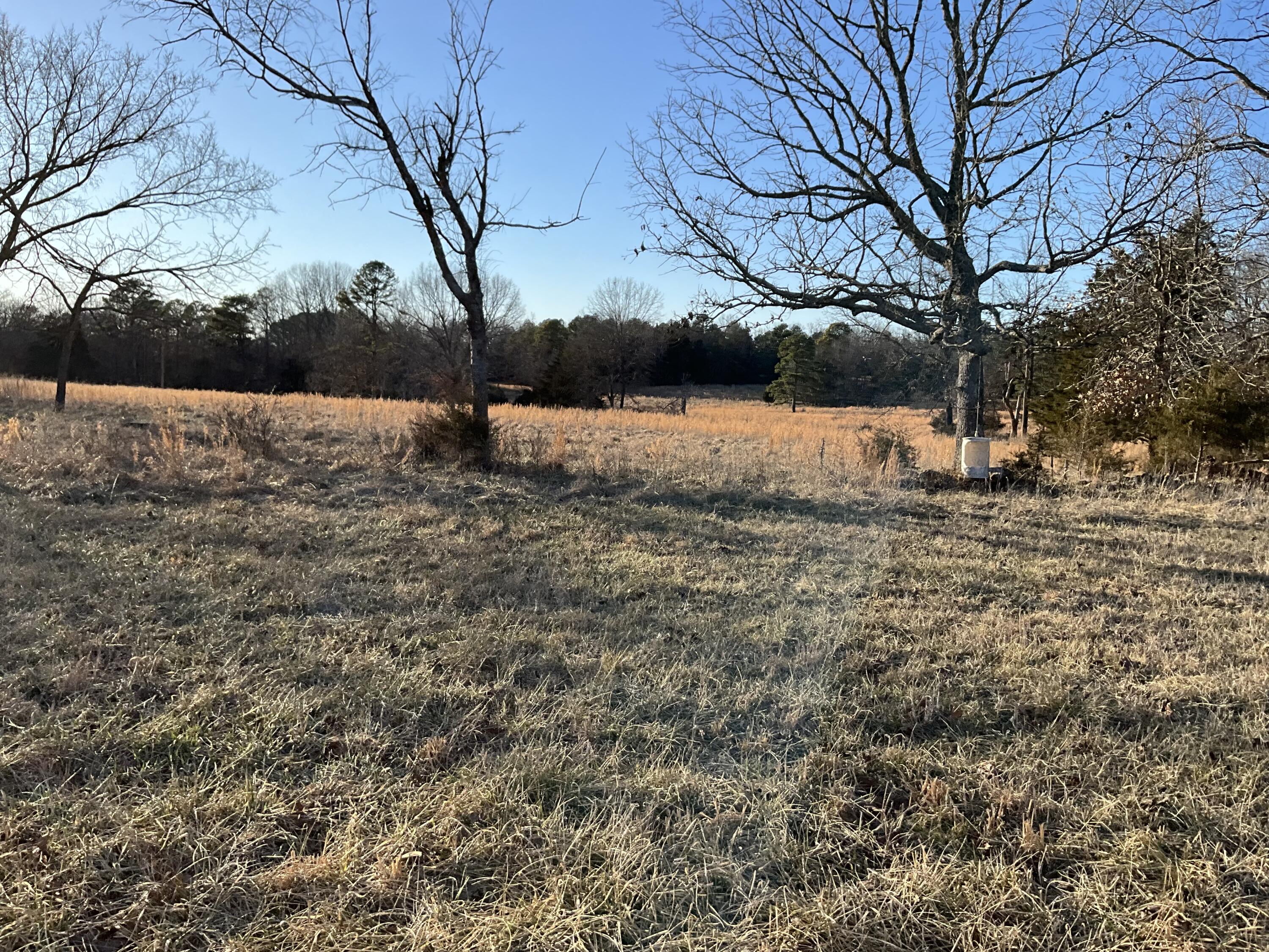 000 County Road 413 Property Photo 17