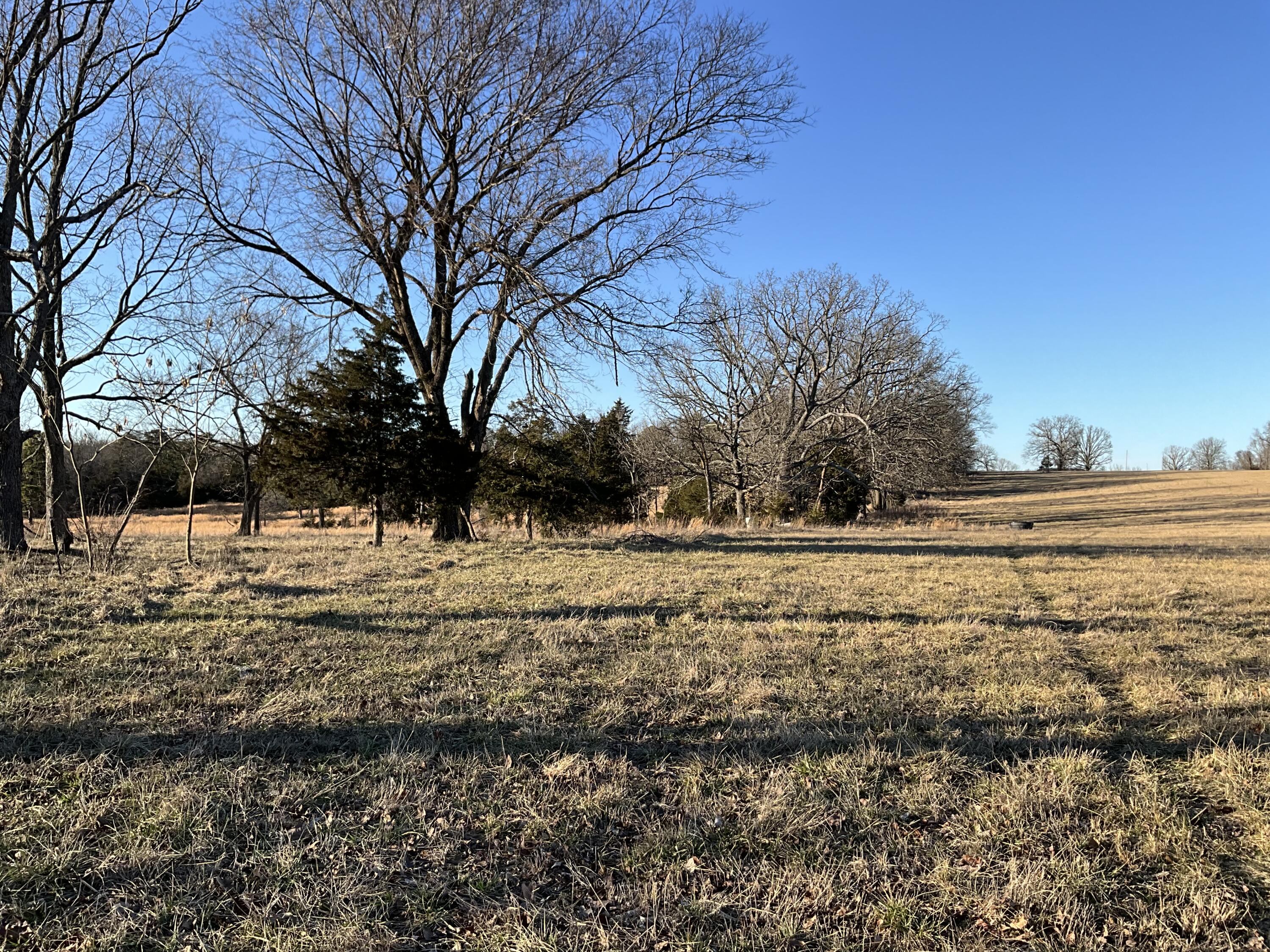 000 County Road 413 Property Photo 18