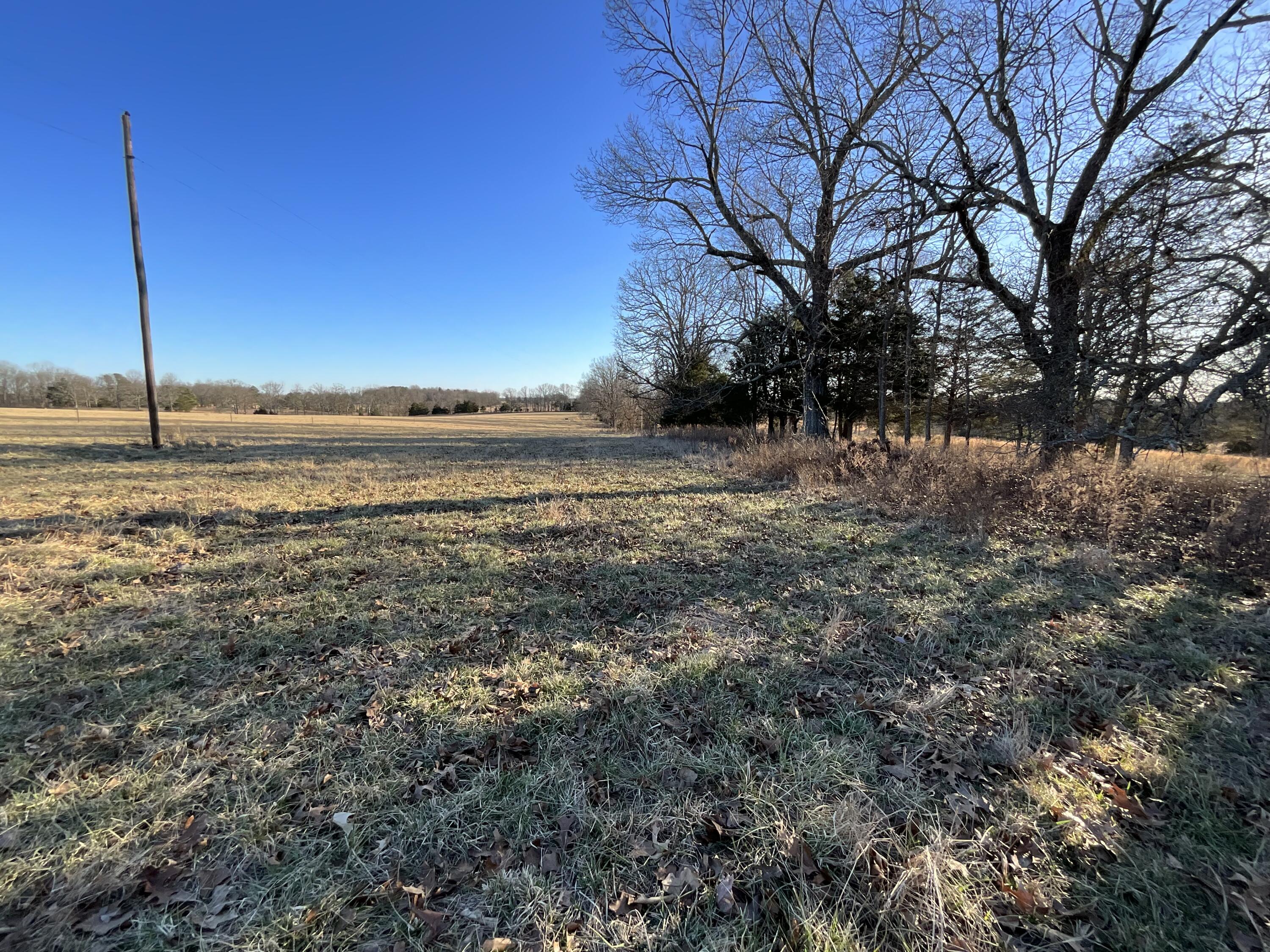 000 County Road 413 Property Photo 19