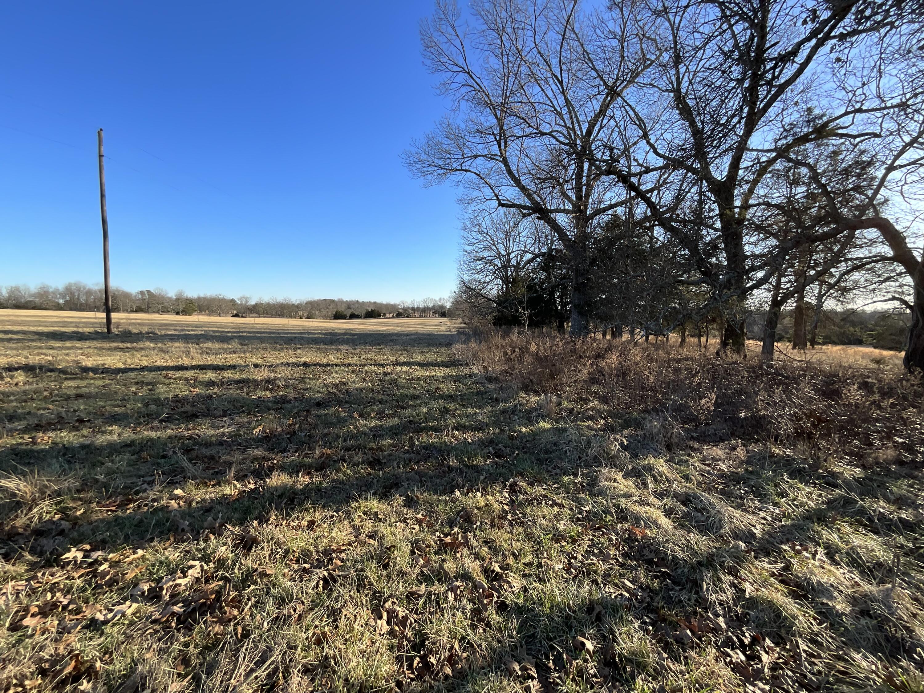 000 County Road 413 Property Photo 20
