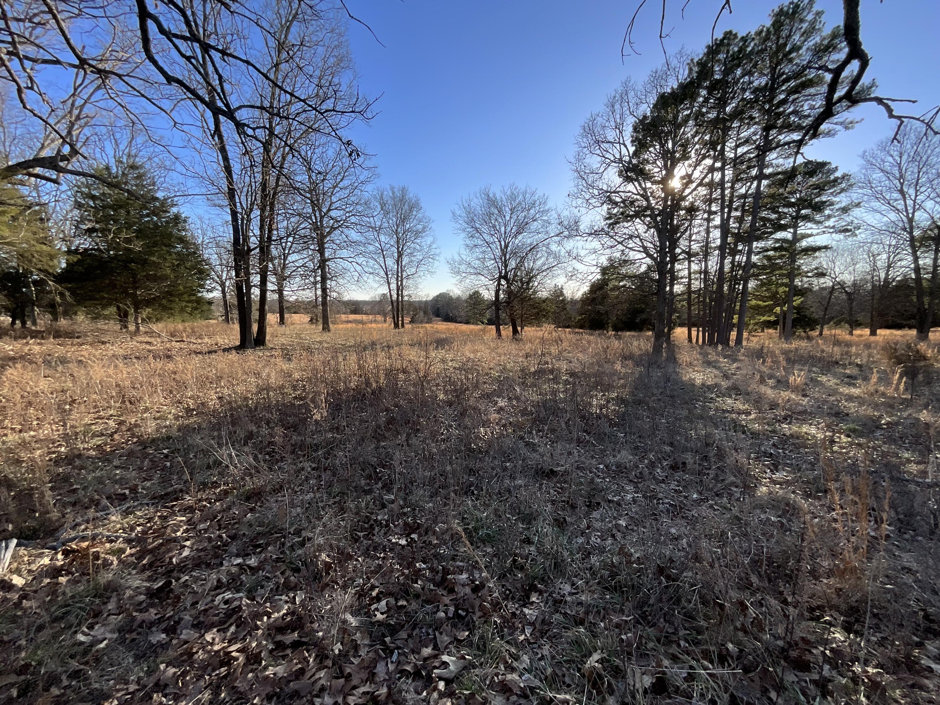 000 County Road 413 Property Photo 21