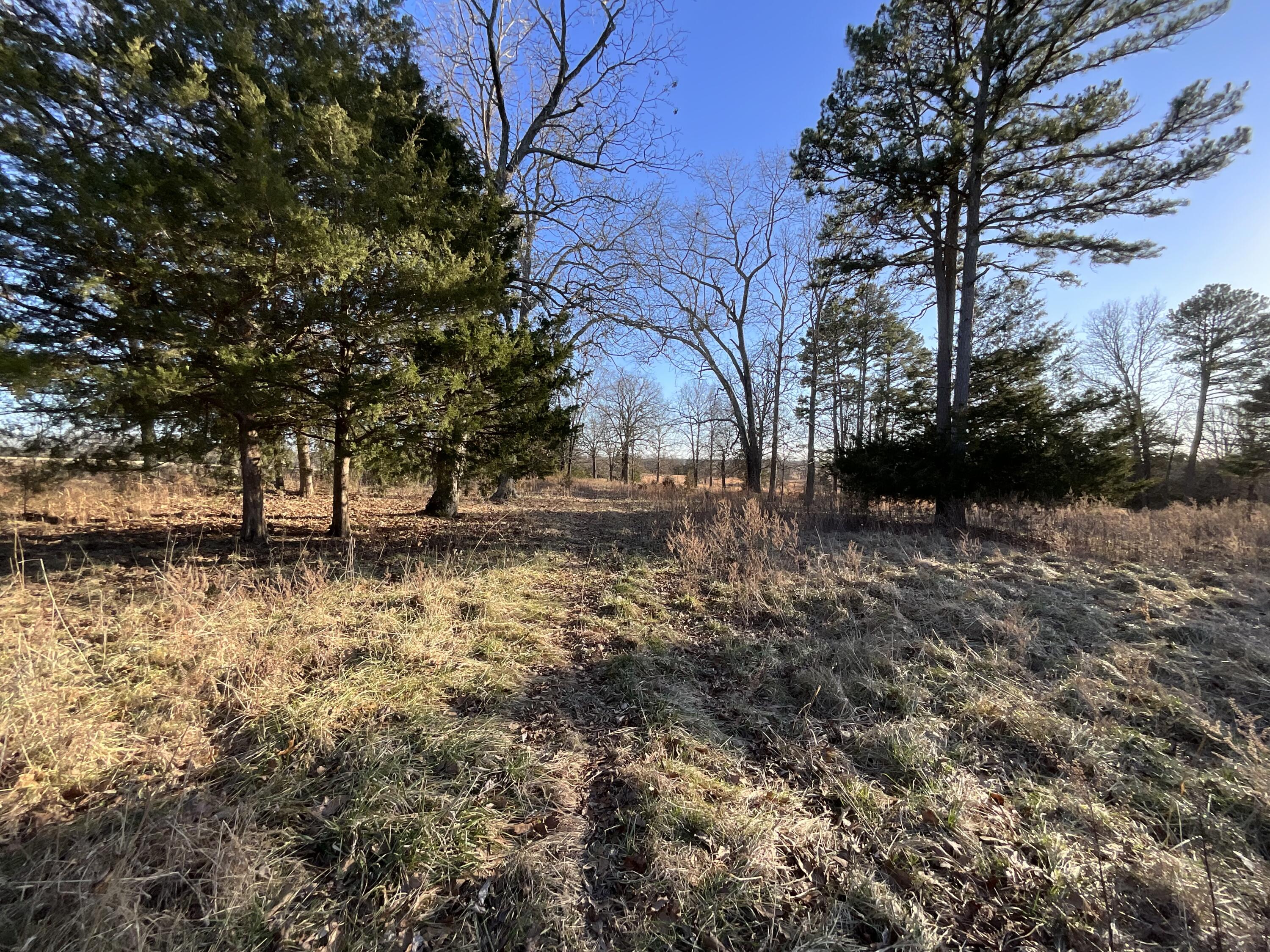 000 County Road 413 Property Photo 22