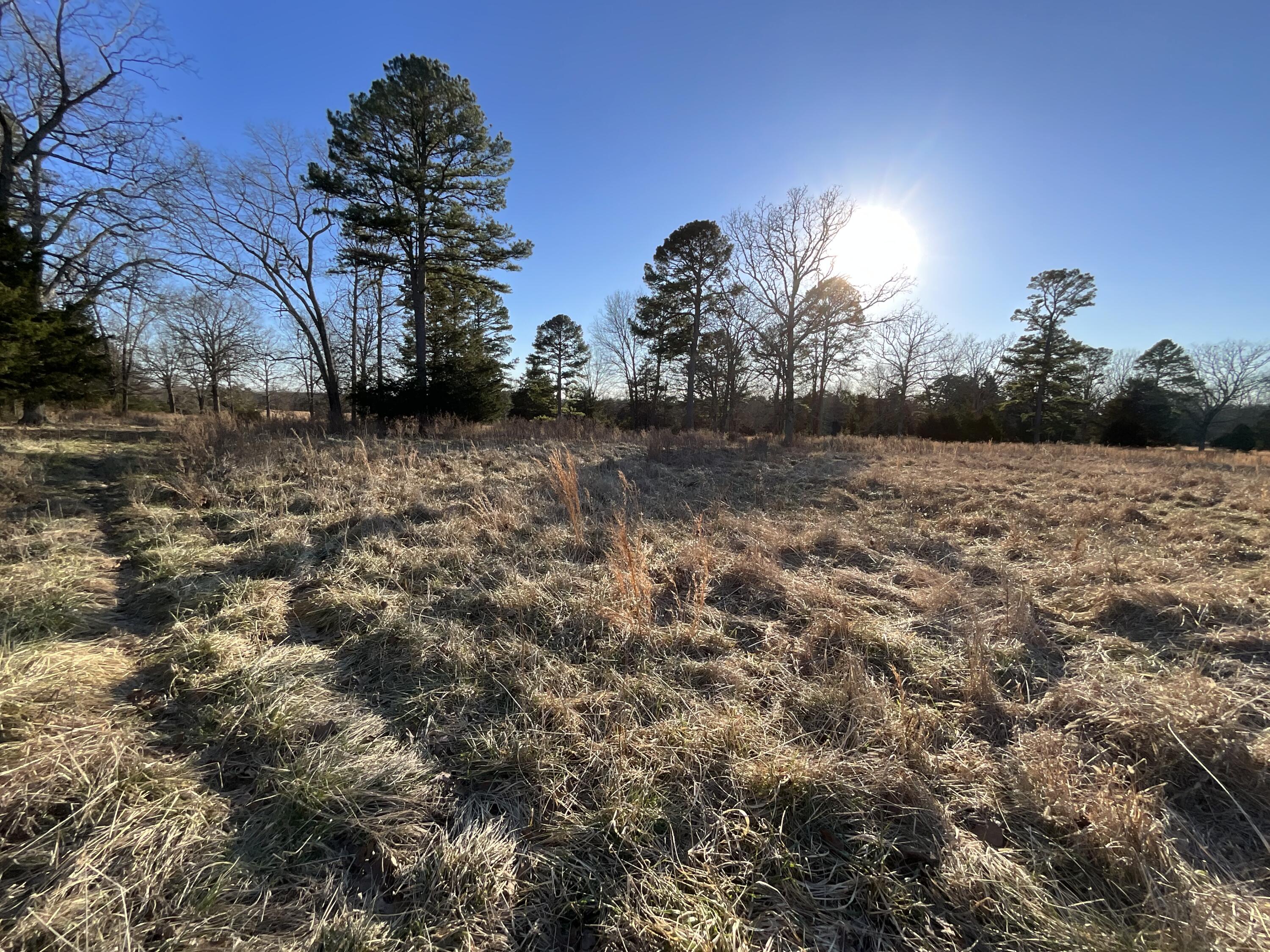 000 County Road 413 Property Photo 23