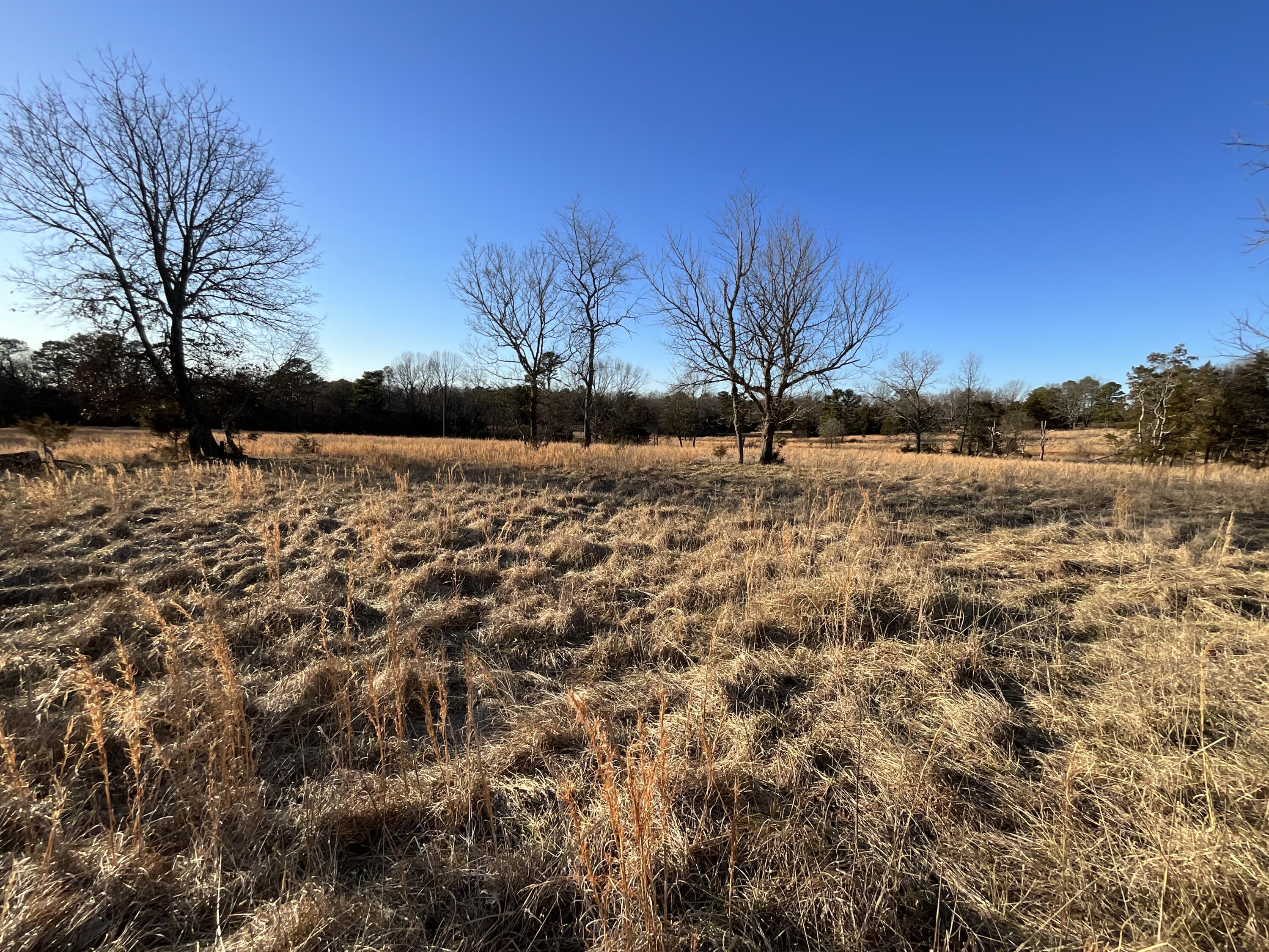 000 County Road 413 Property Photo 24