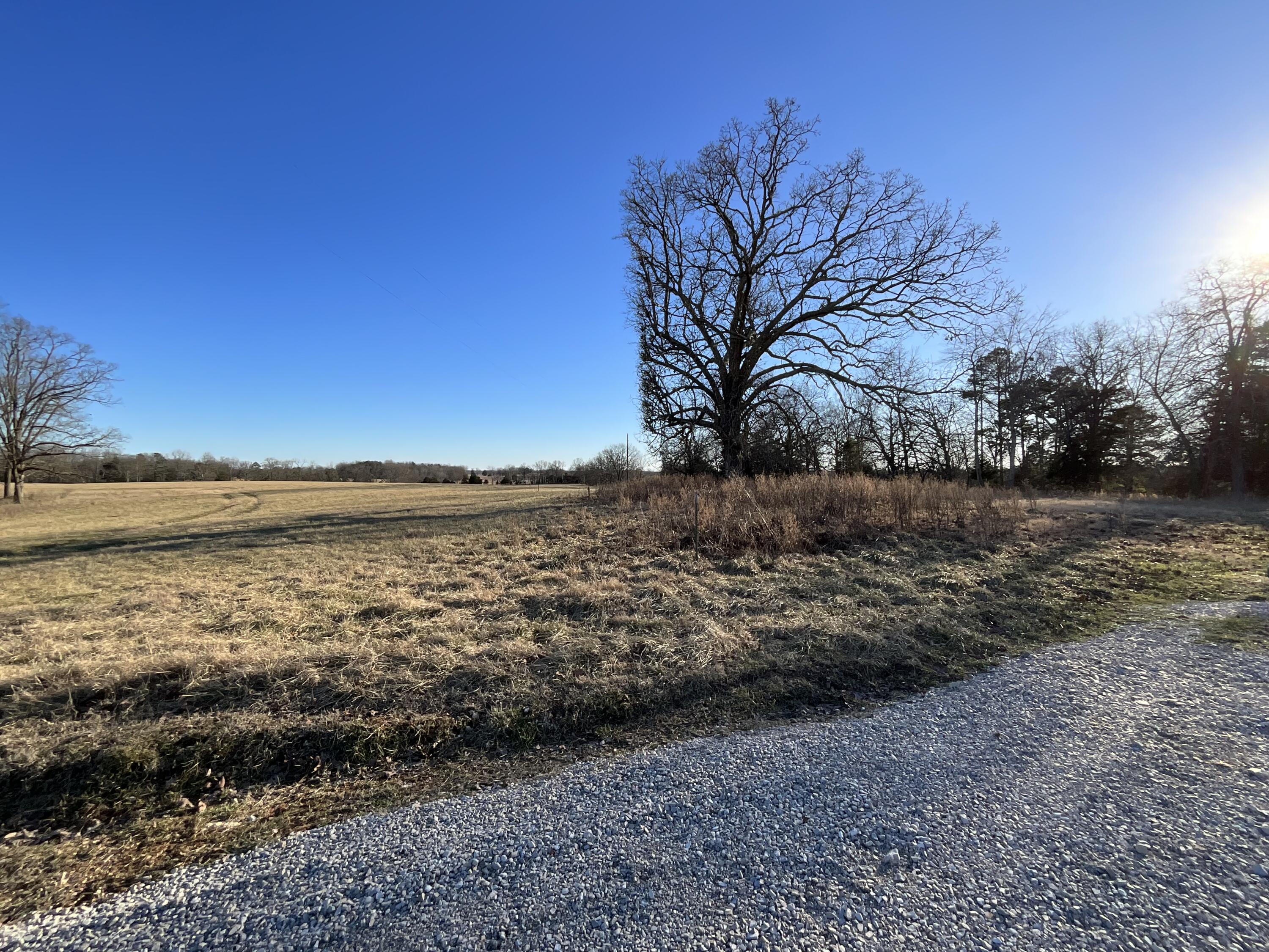 000 County Road 413 Property Photo 25