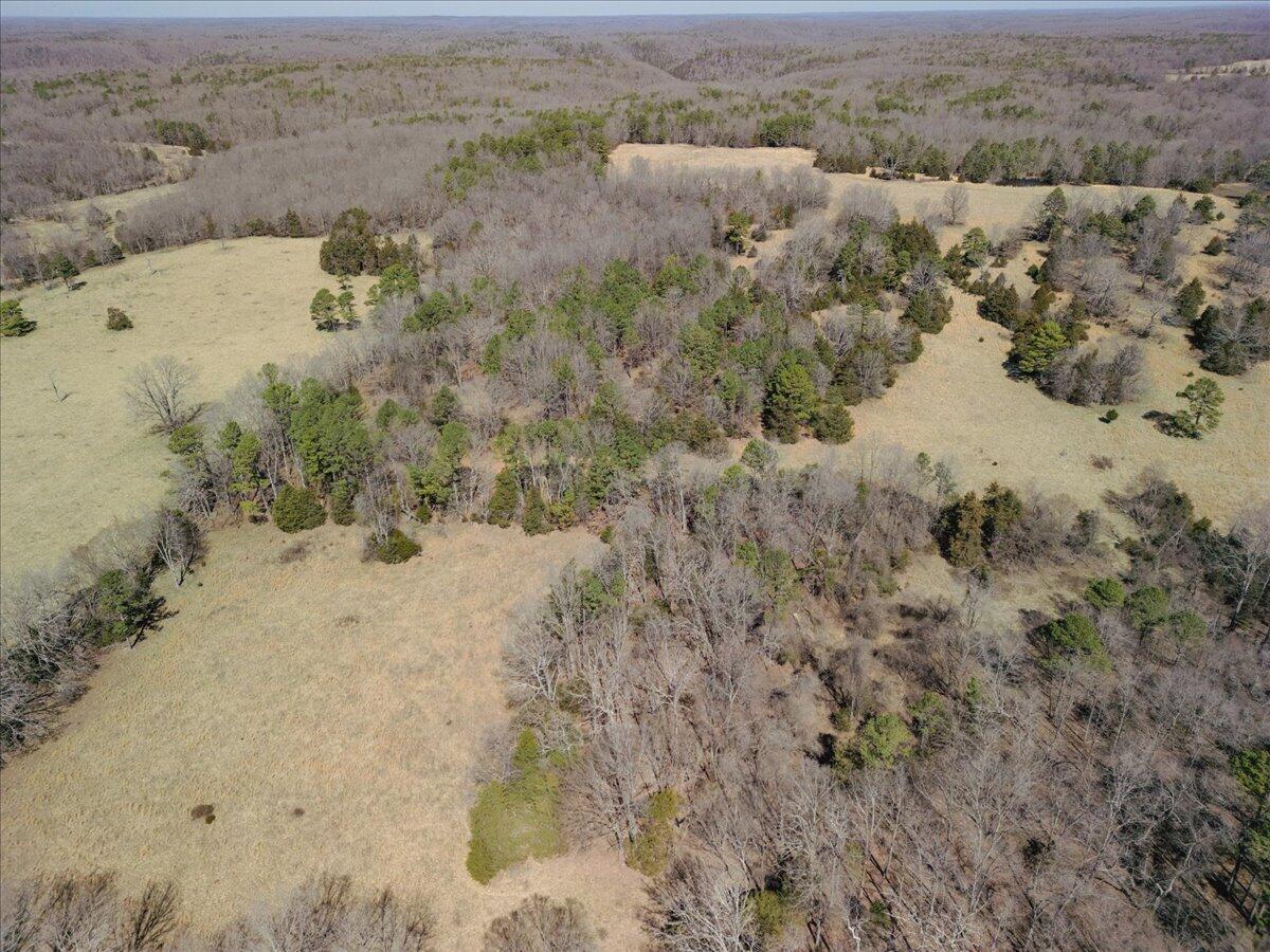000 County Road 413 Property Photo 27