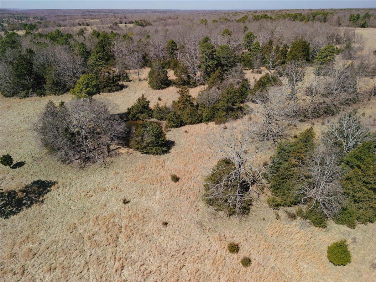 000 County Road 413 Property Photo 28