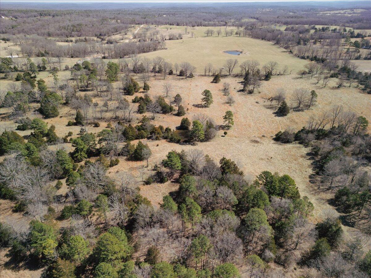 000 County Road 413 Property Photo 29