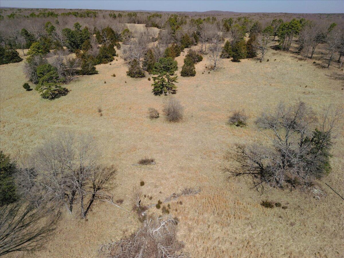 000 County Road 413 Property Photo 30