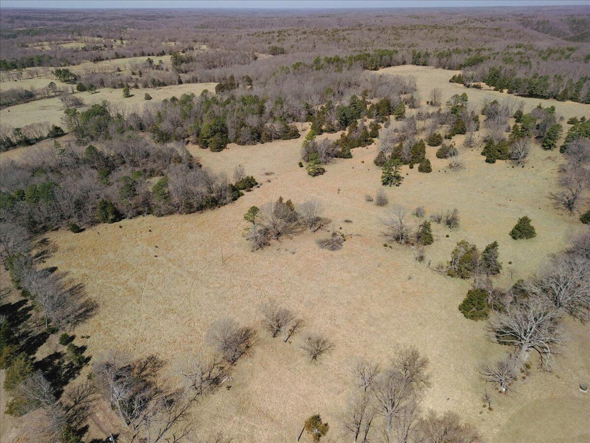 000 County Road 413 Property Photo 31