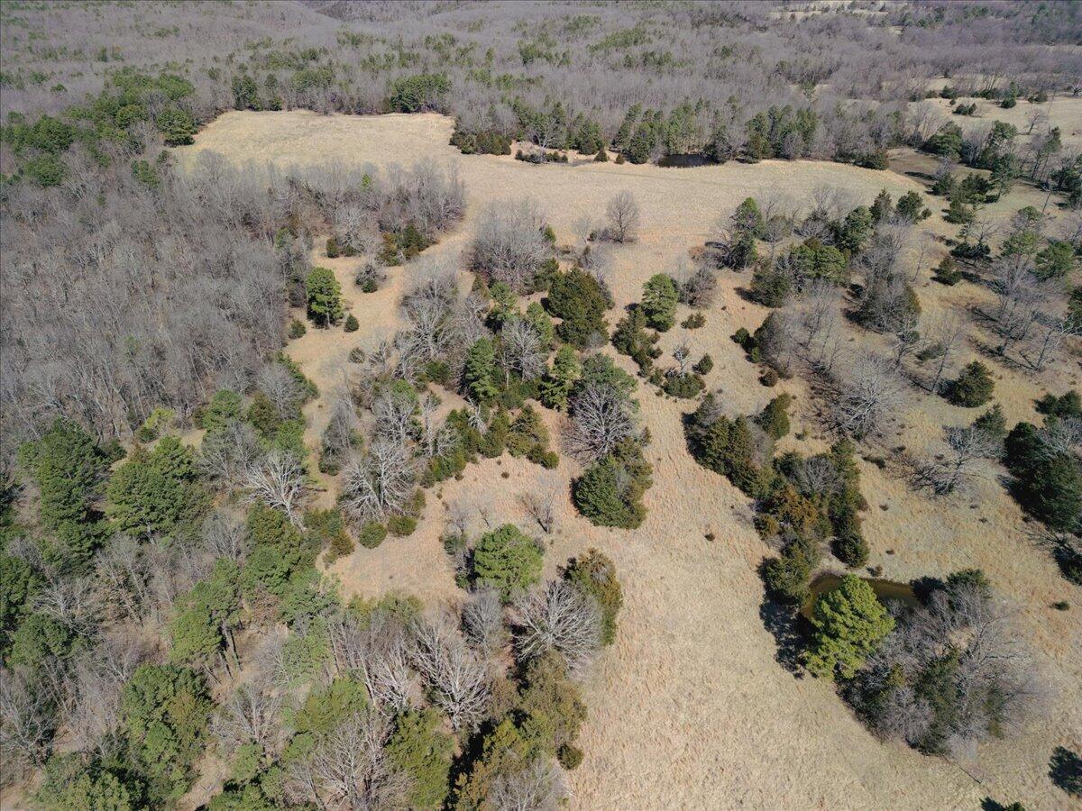 000 County Road 413 Property Photo 36