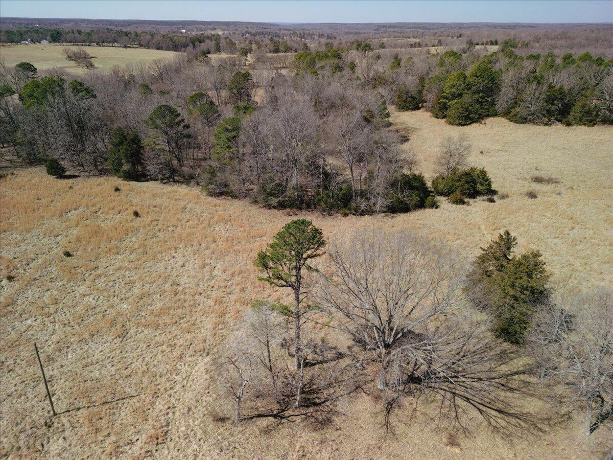 000 County Road 413 Property Photo 37