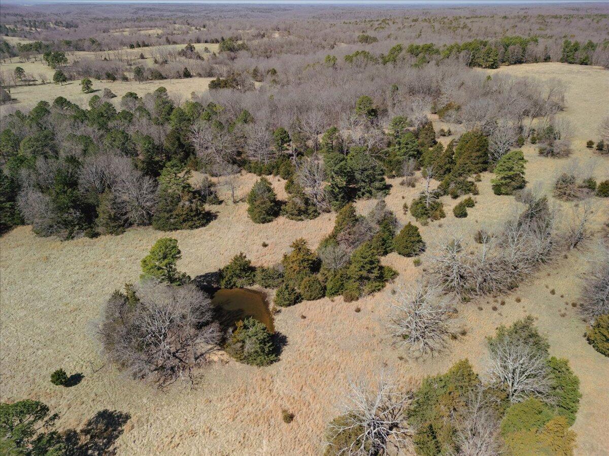 000 County Road 413 Property Photo 38