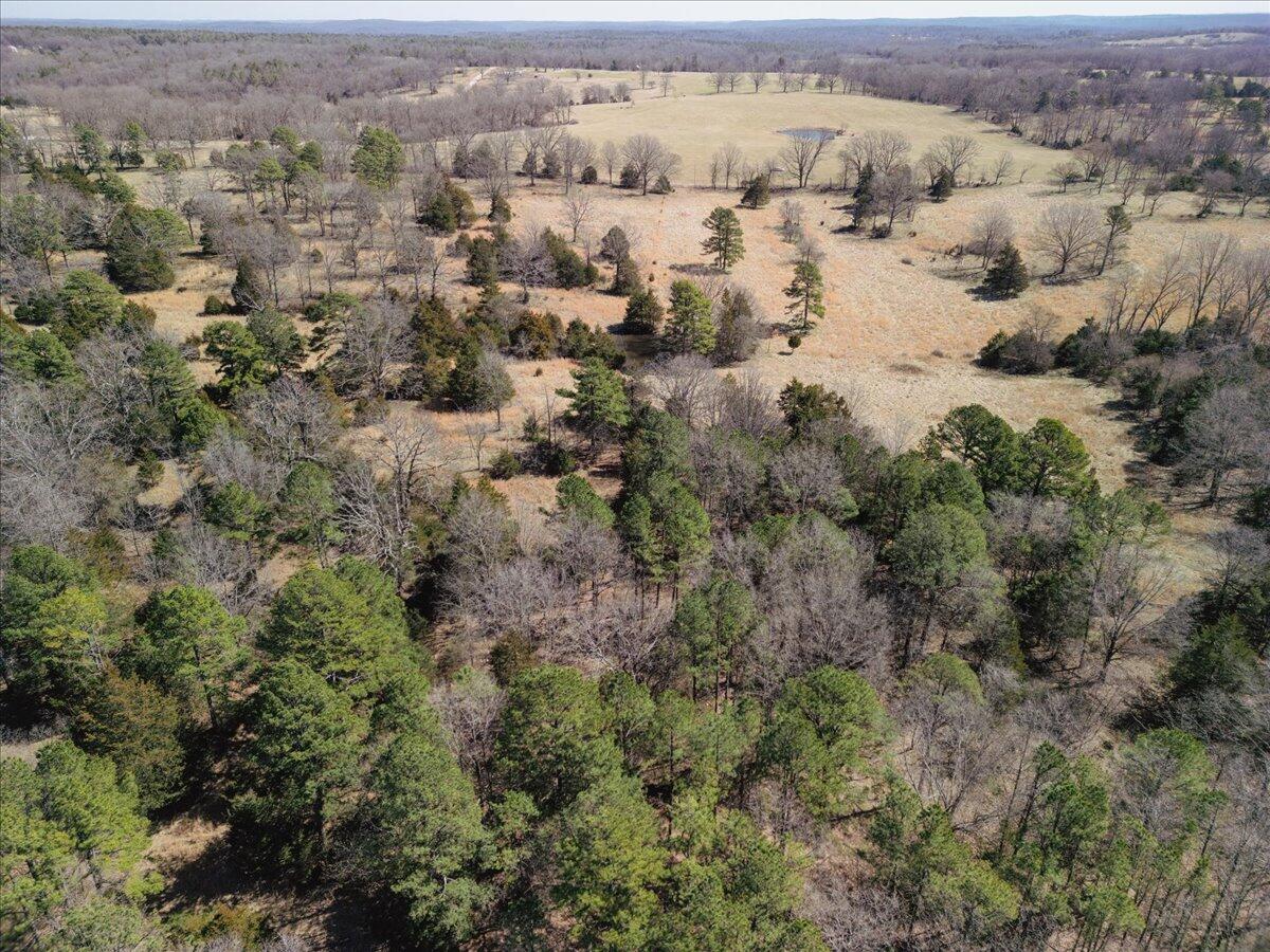 000 County Road 413 Property Photo 39