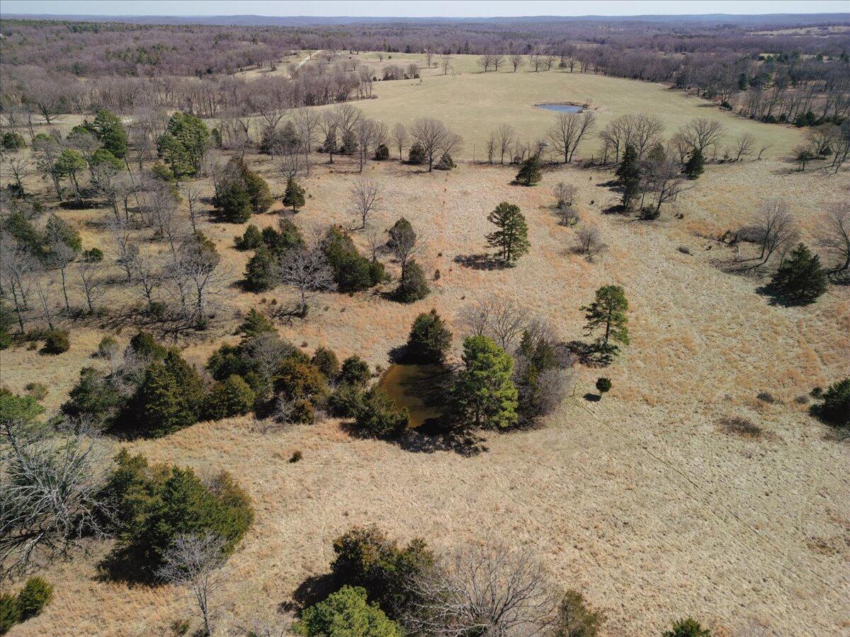 000 County Road 413 Property Photo 41